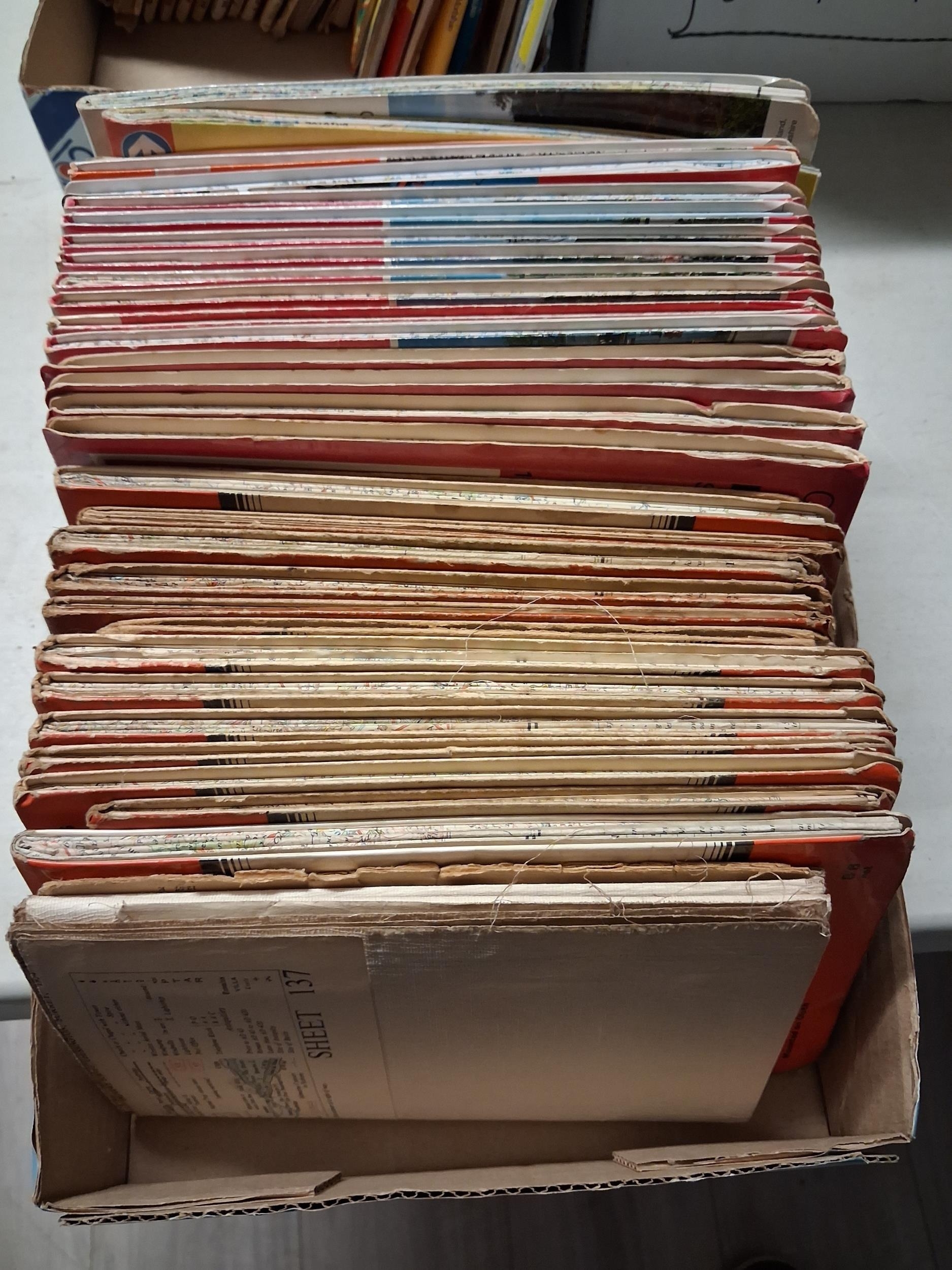 Lot 487D