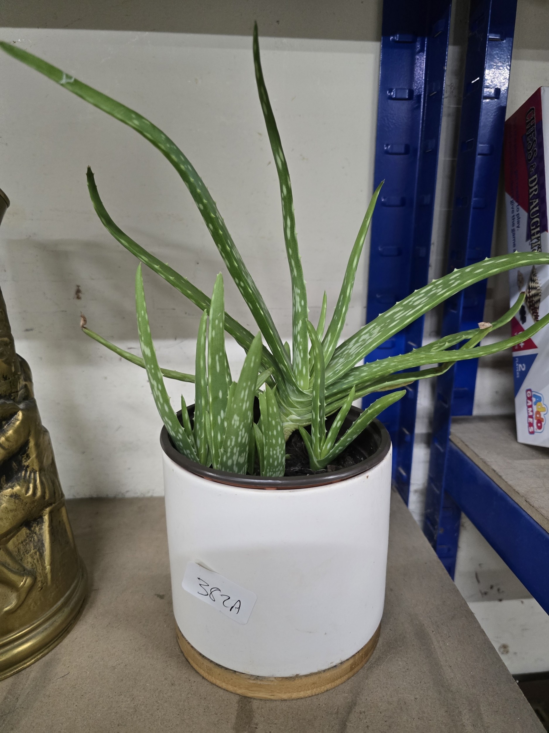 Lot 382a