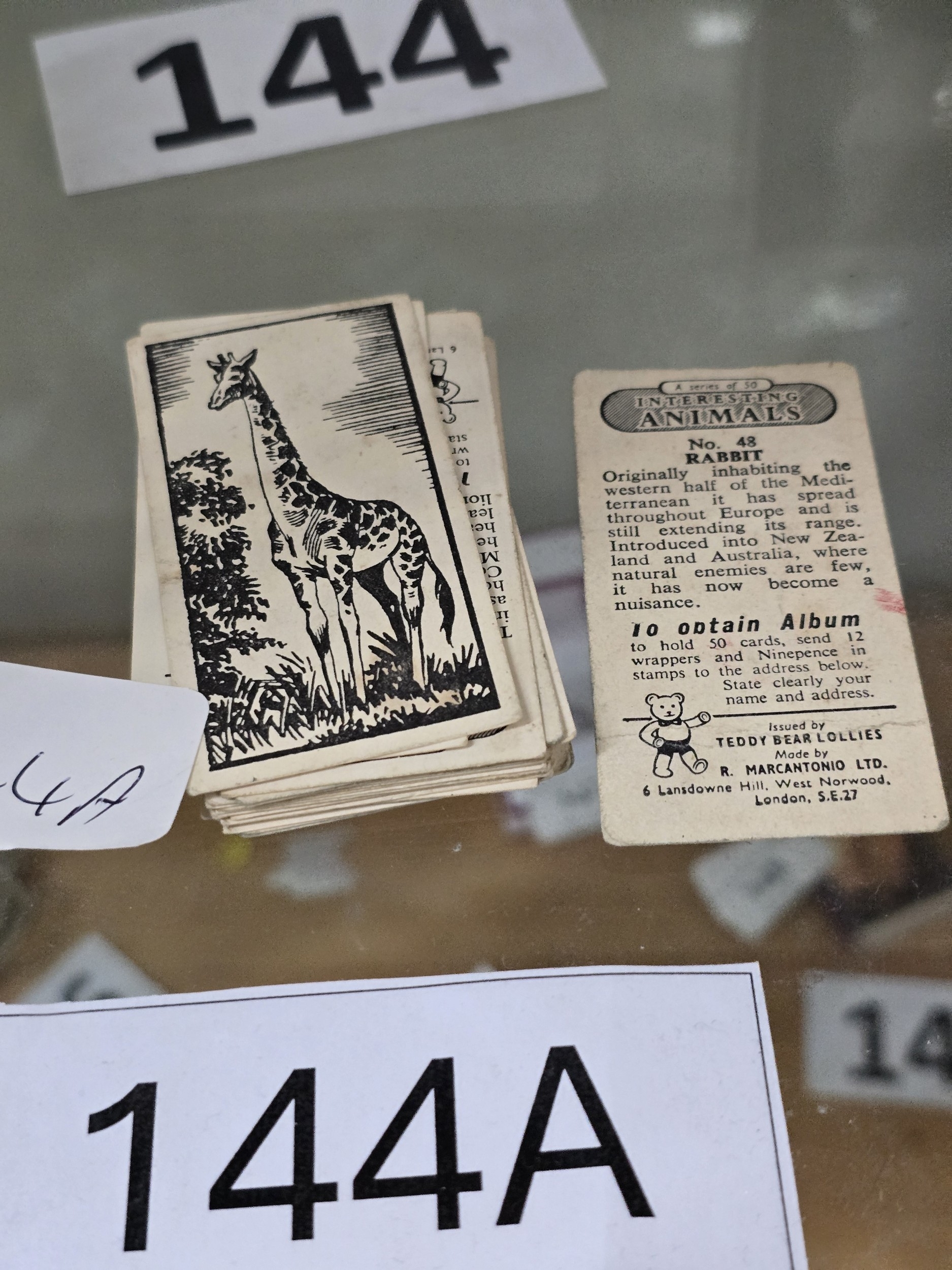 Lot 144a