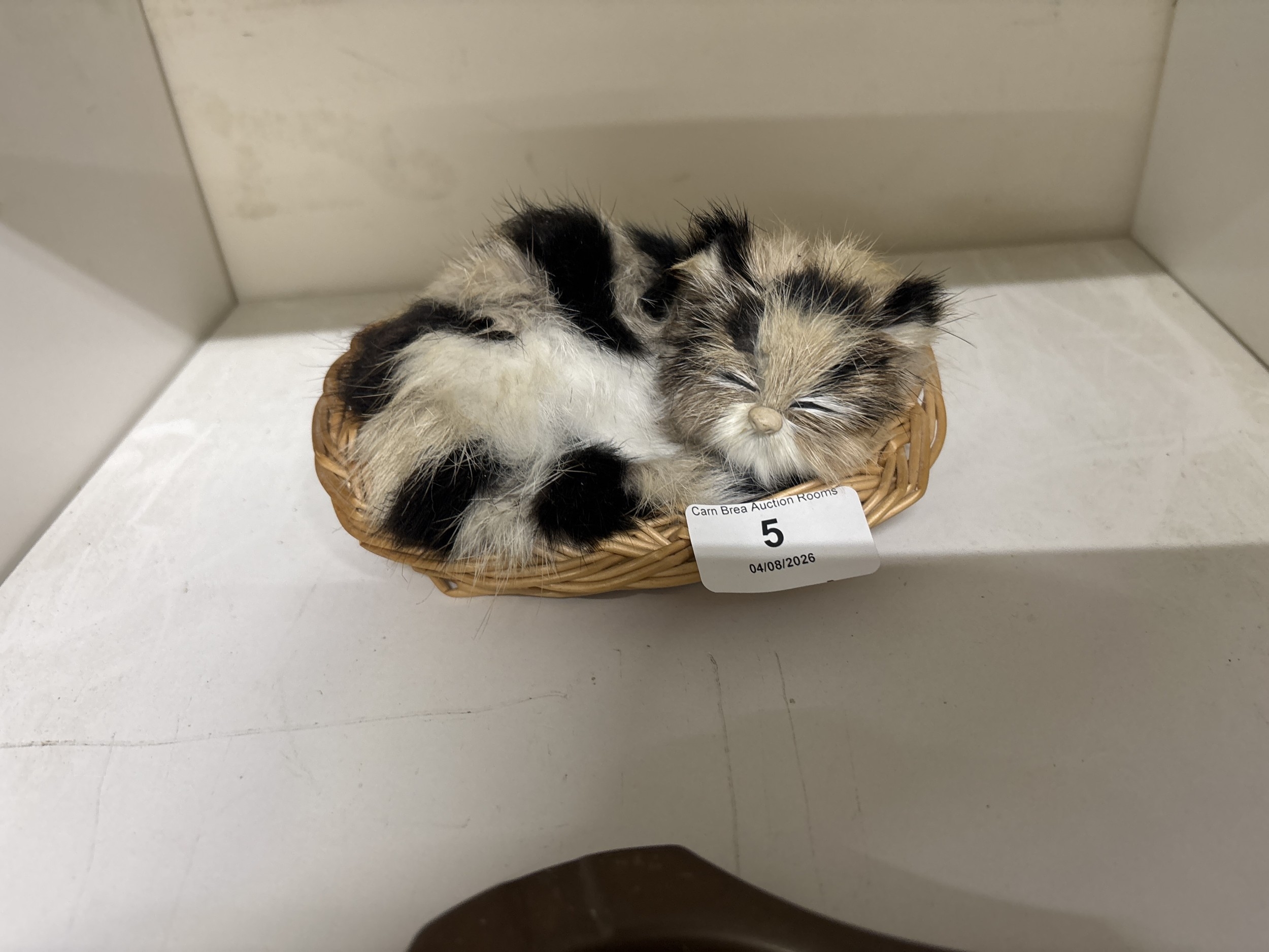 Lot 5