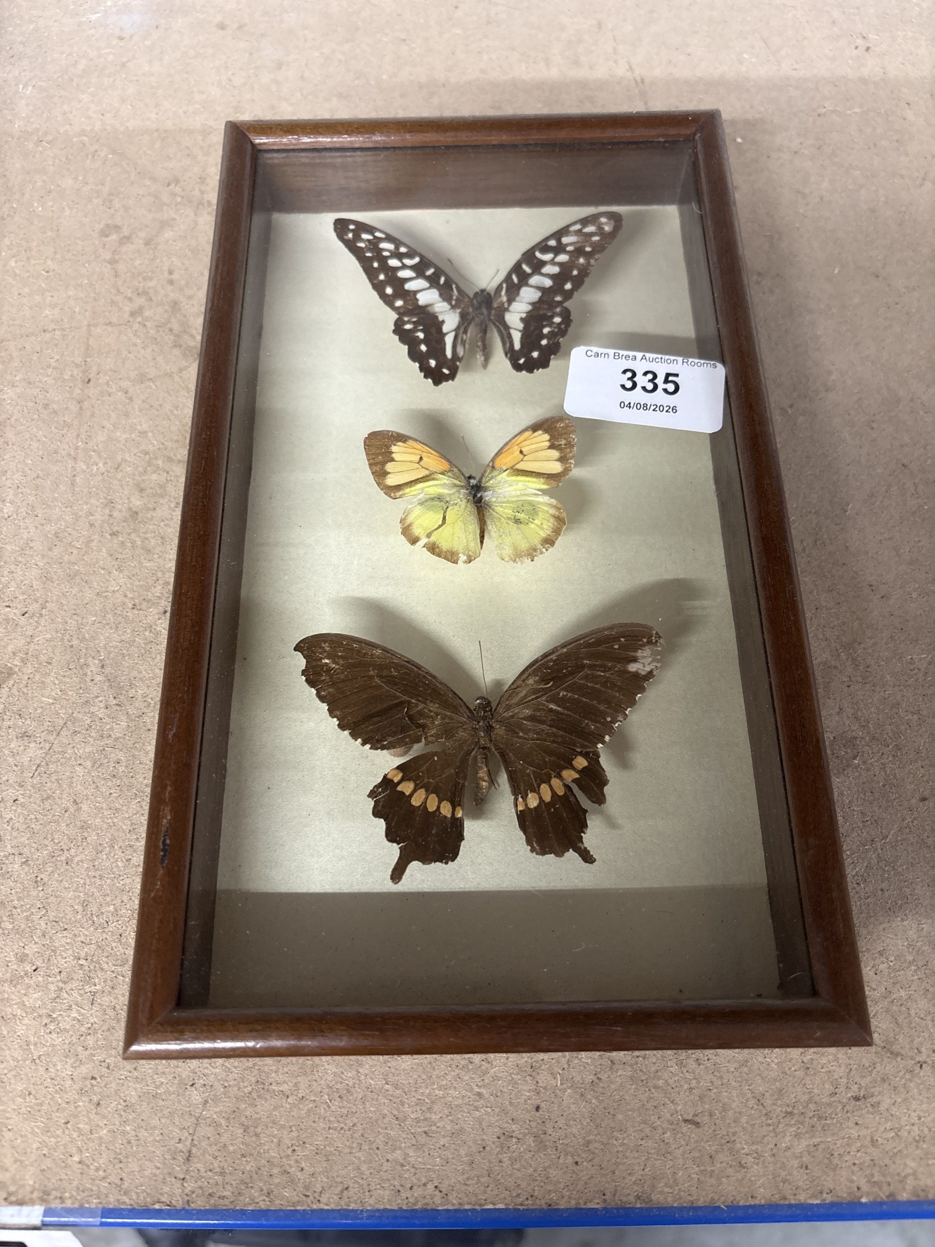 Lot 335