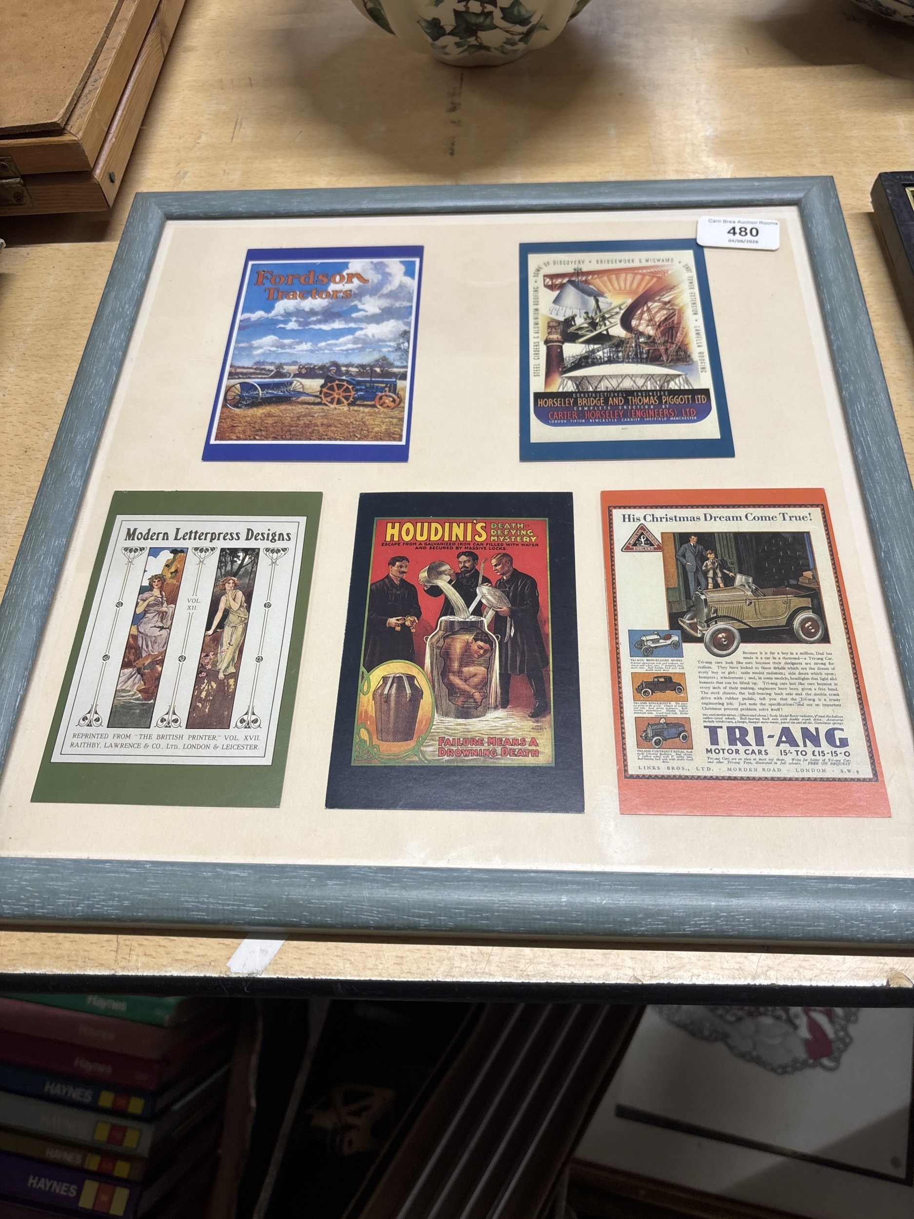 Lot 480
