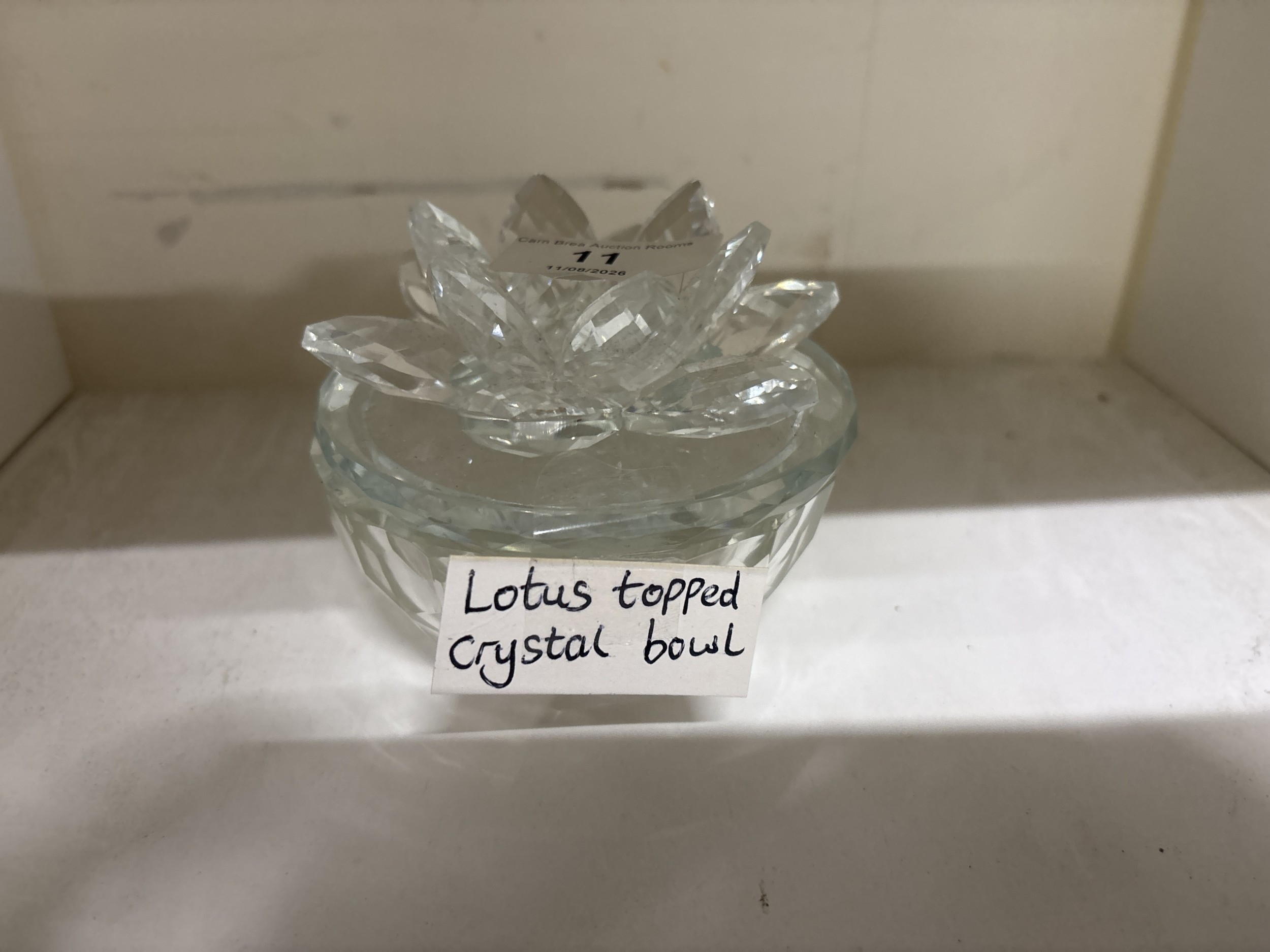 Lot 11