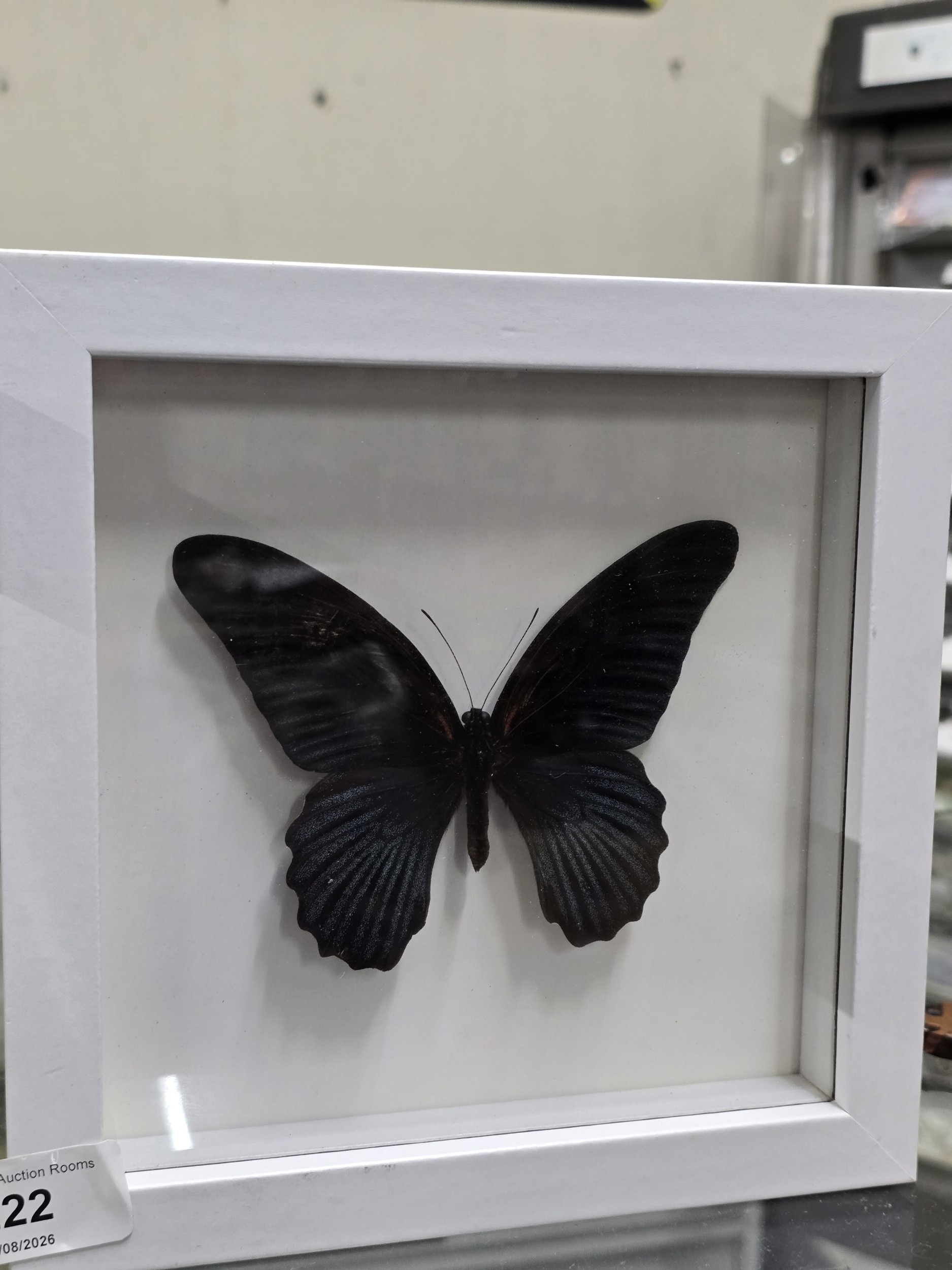 Lot 222