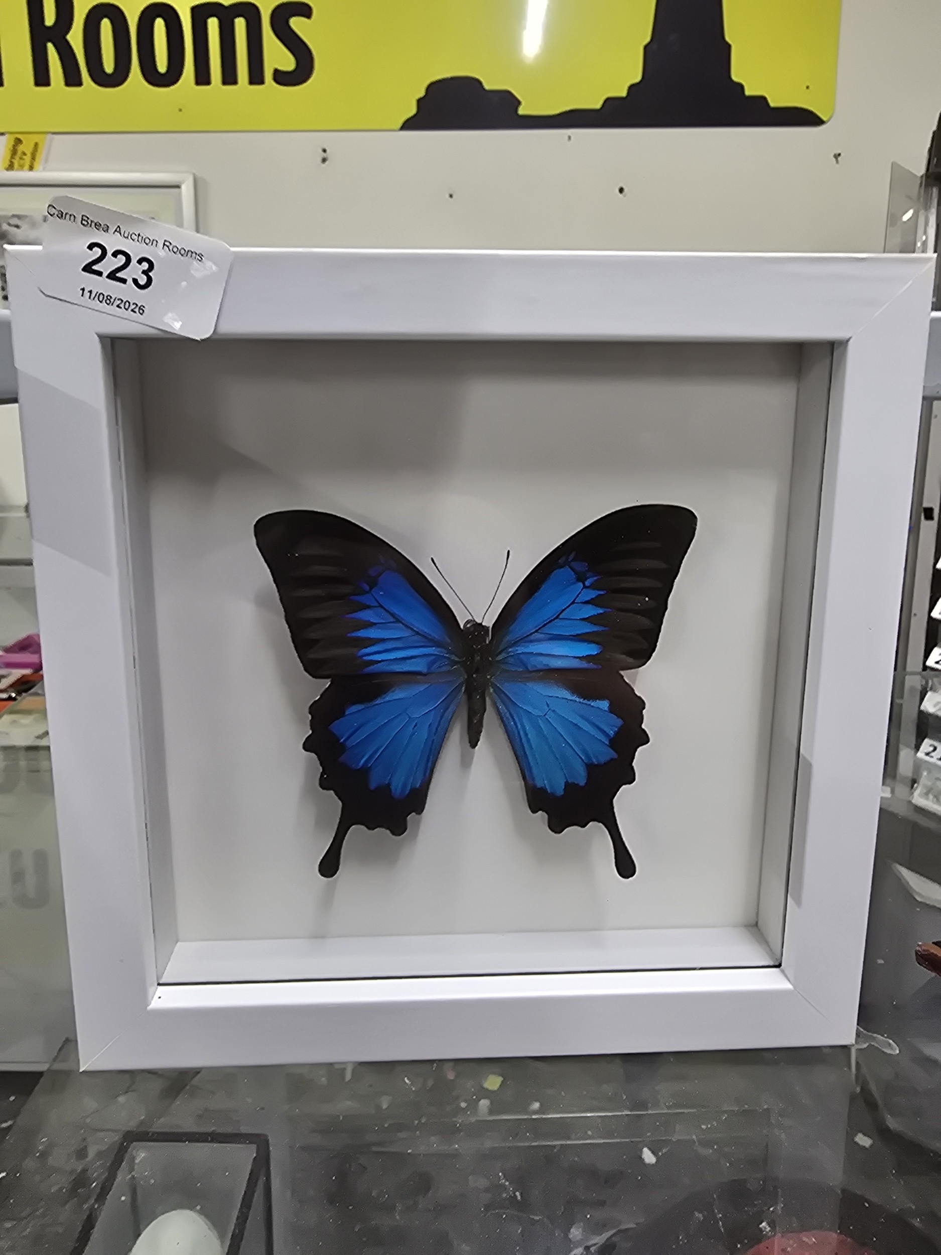 Lot 223