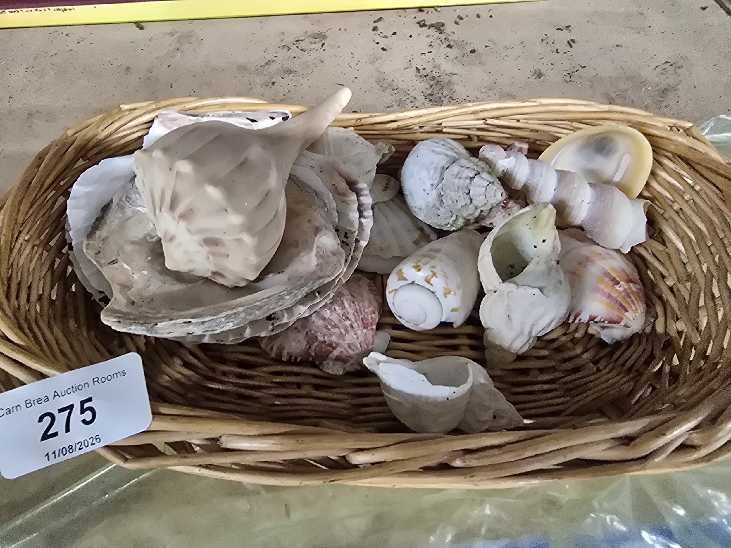 Lot 275