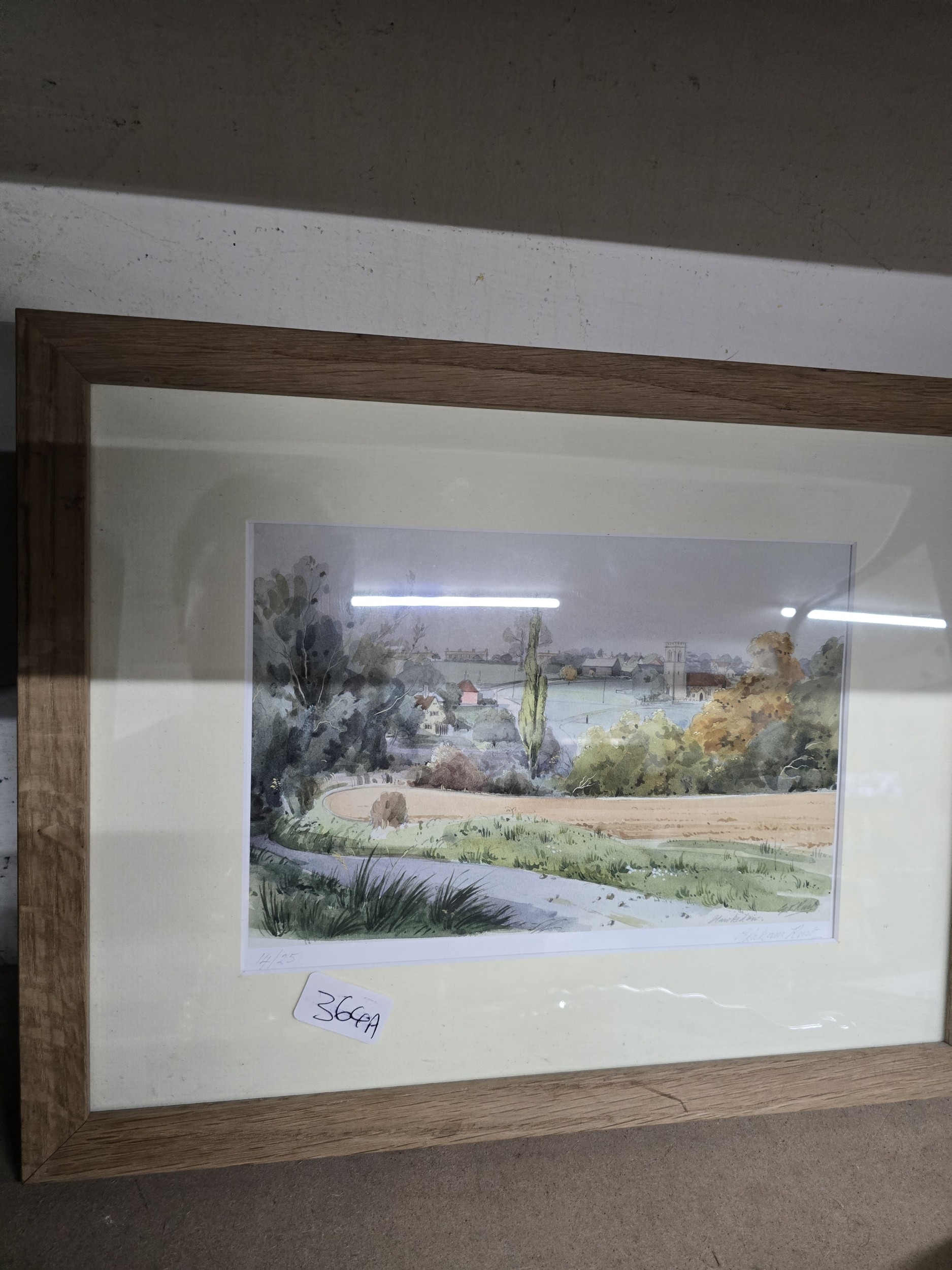 Lot 364a