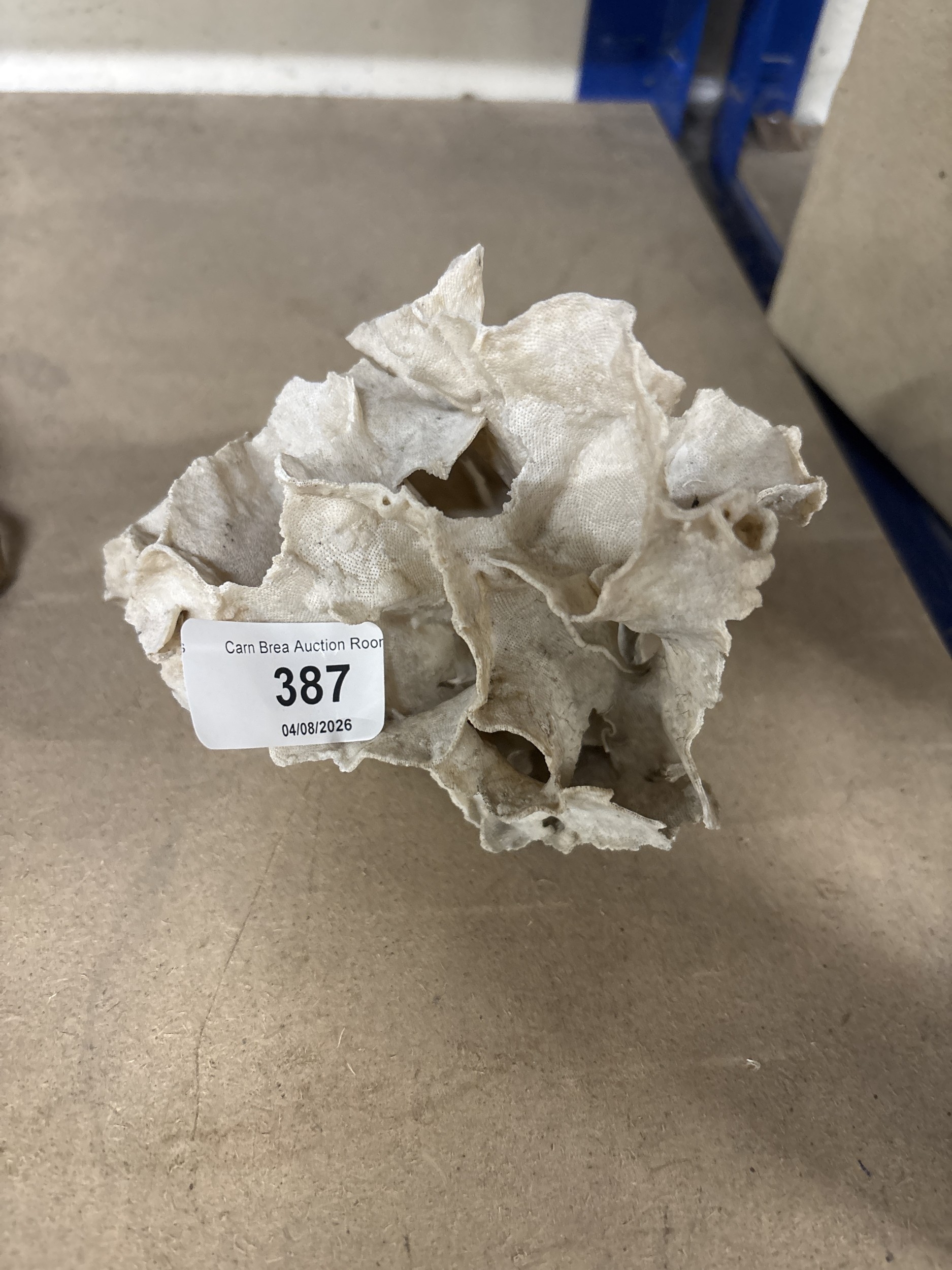 Lot 387