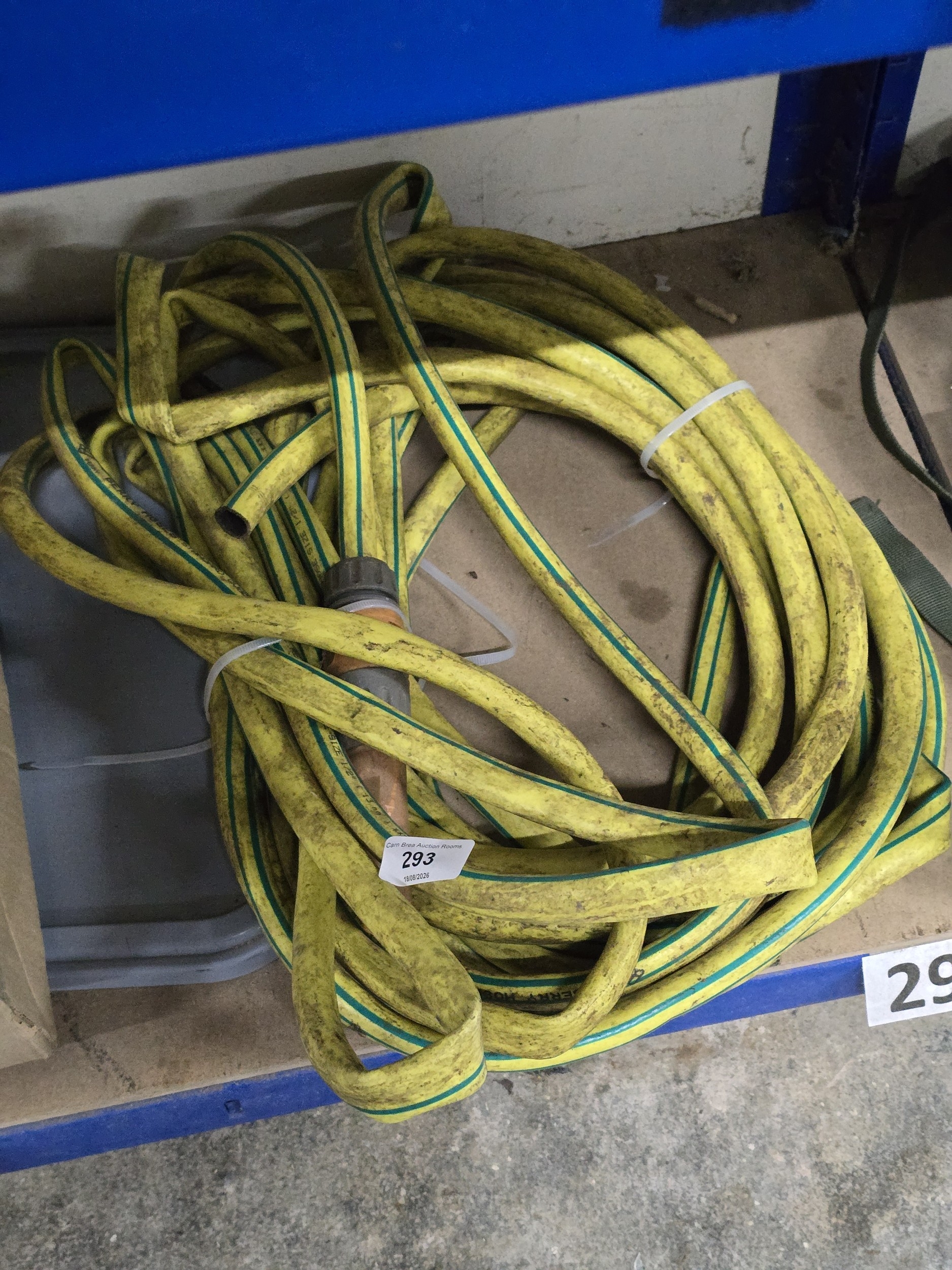Lot 293