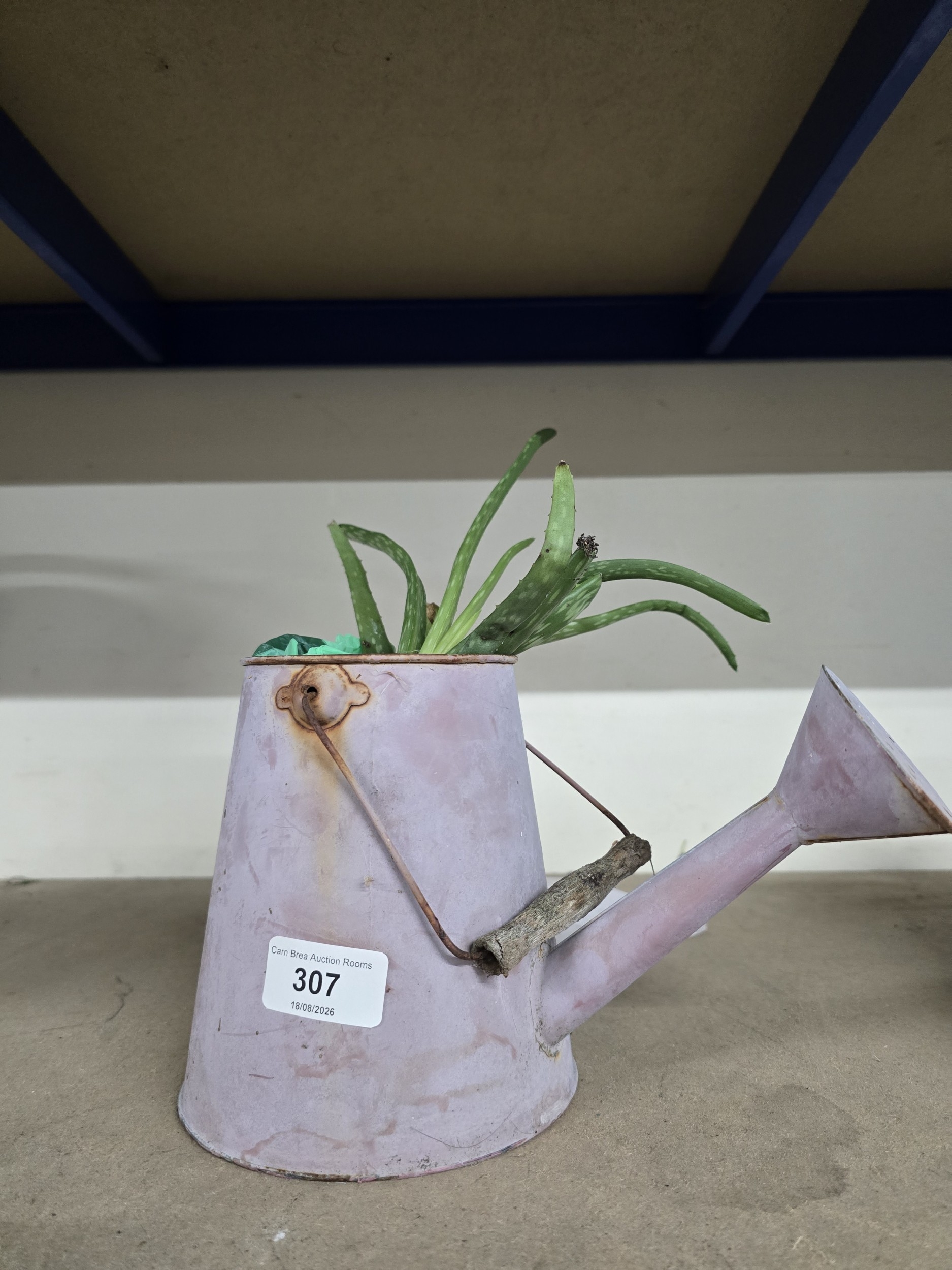 Lot 307