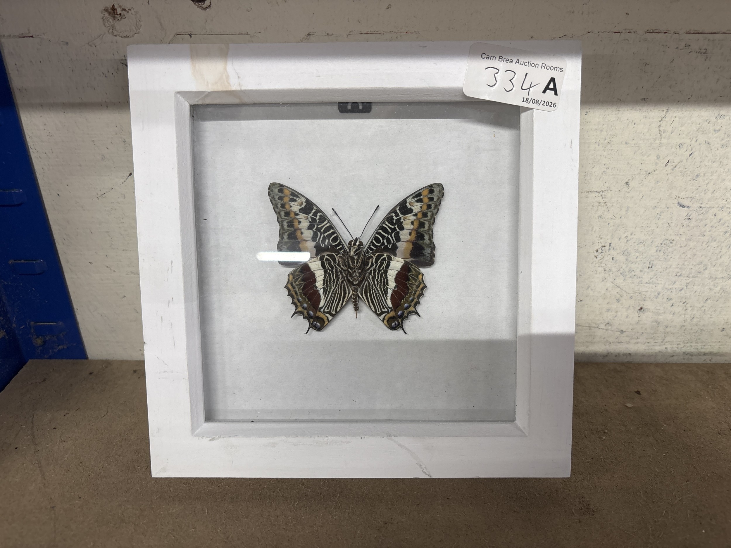 Lot 334a