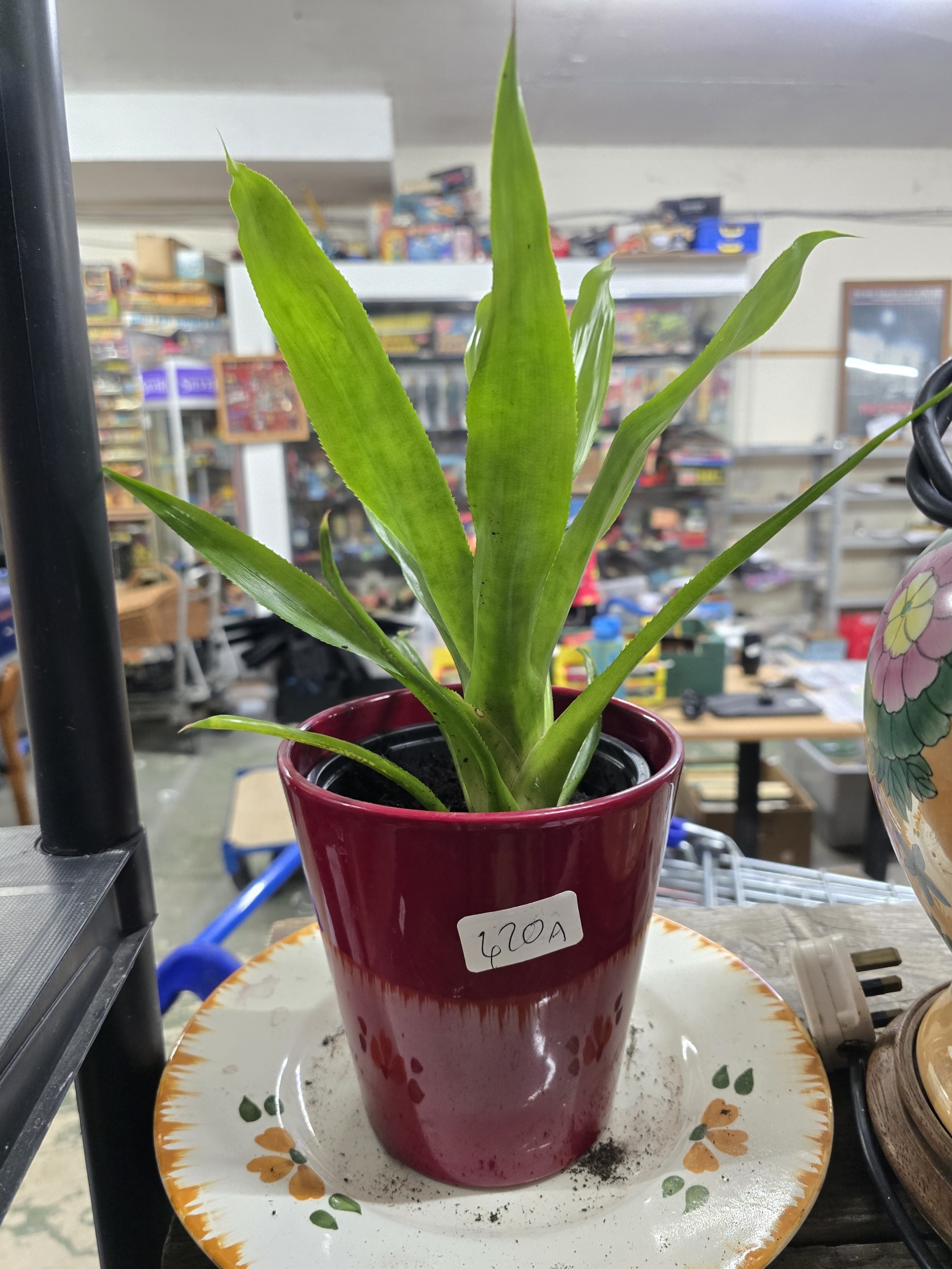 Lot 420a