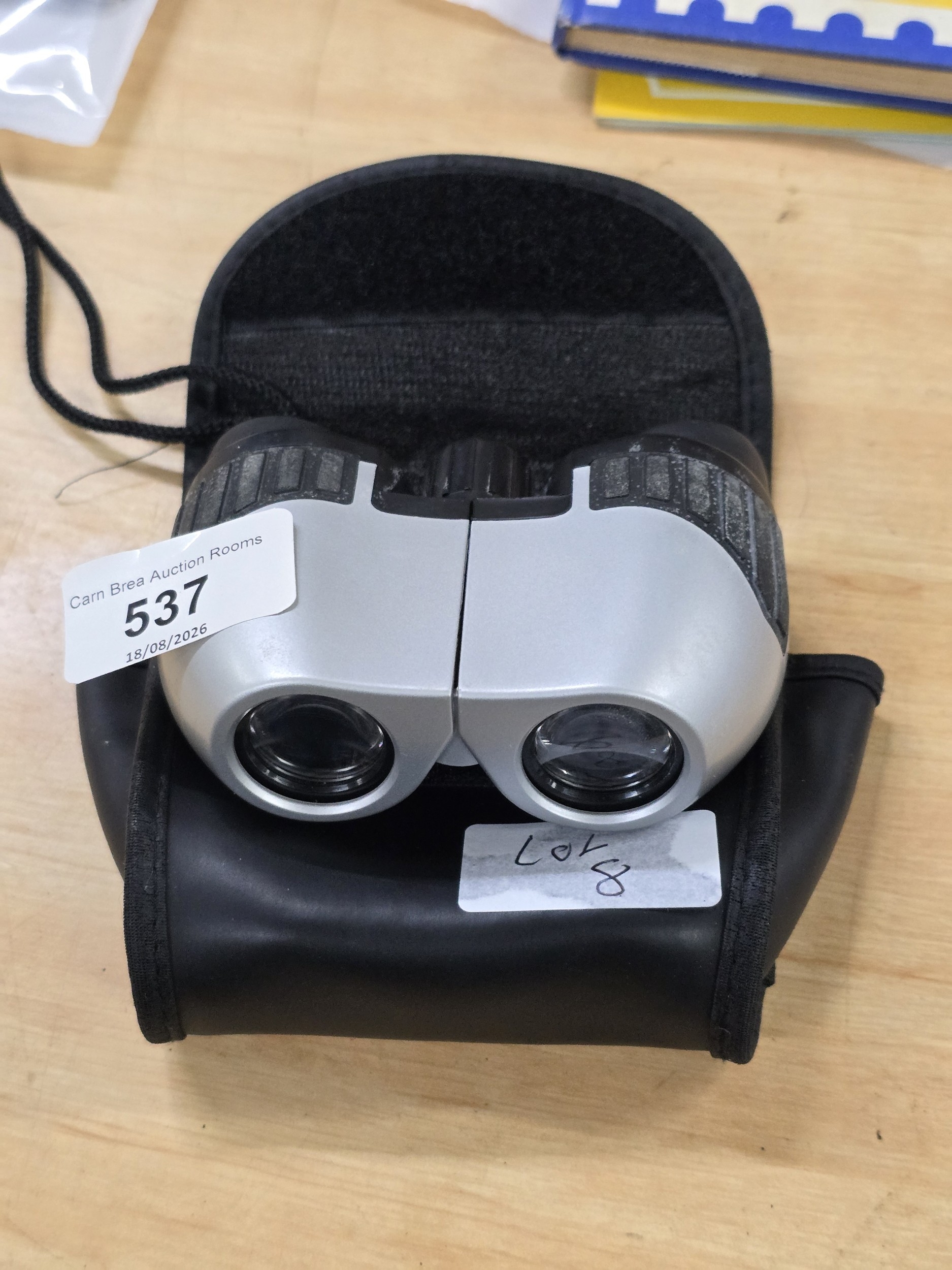 Lot 537