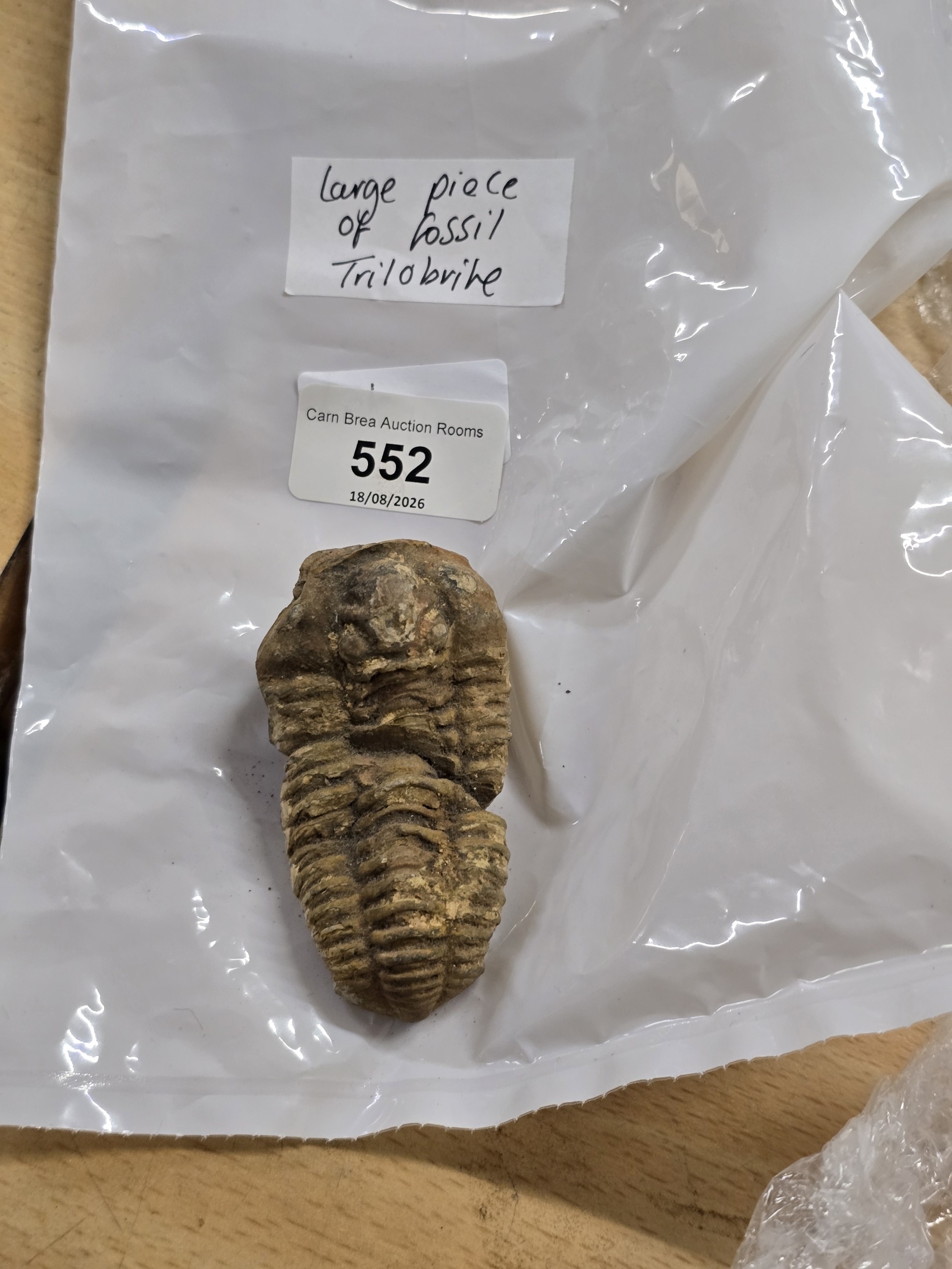 Lot 552
