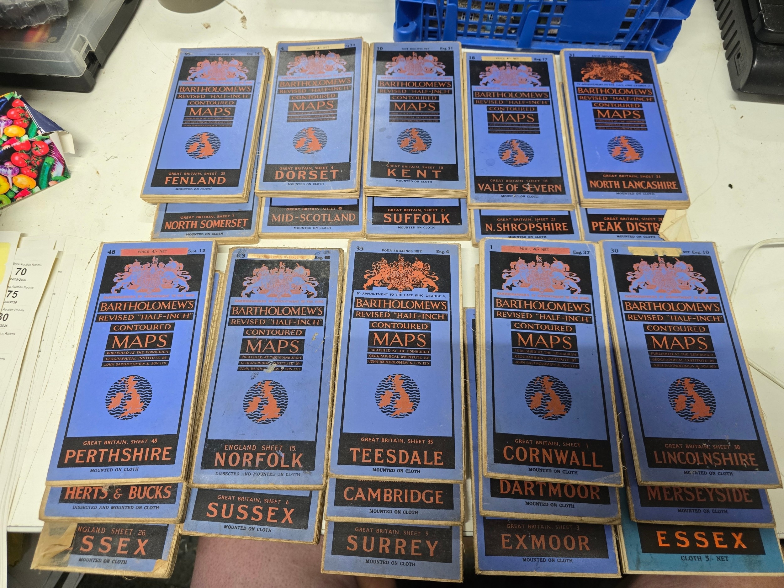 Lot 19