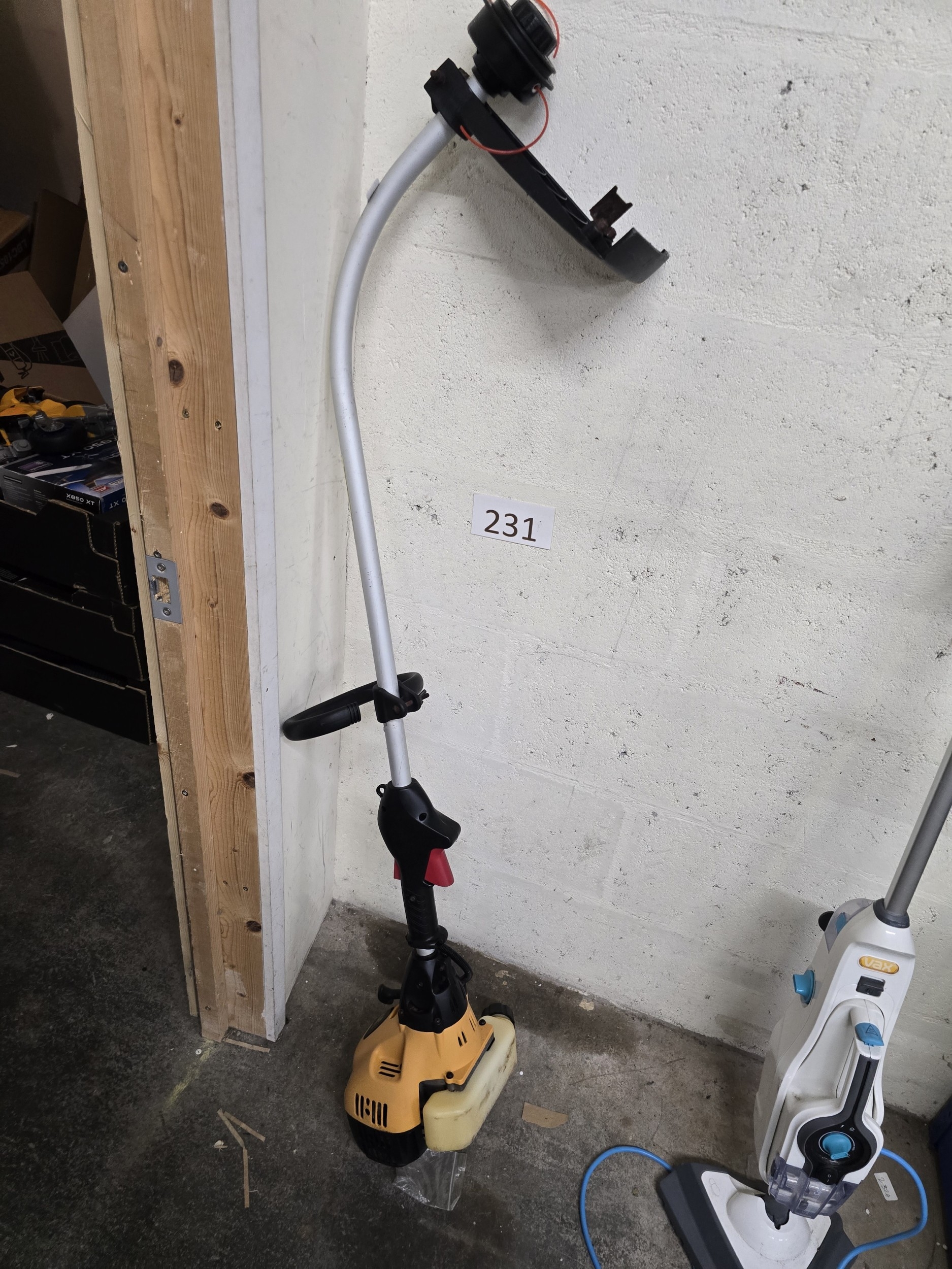 Lot 231