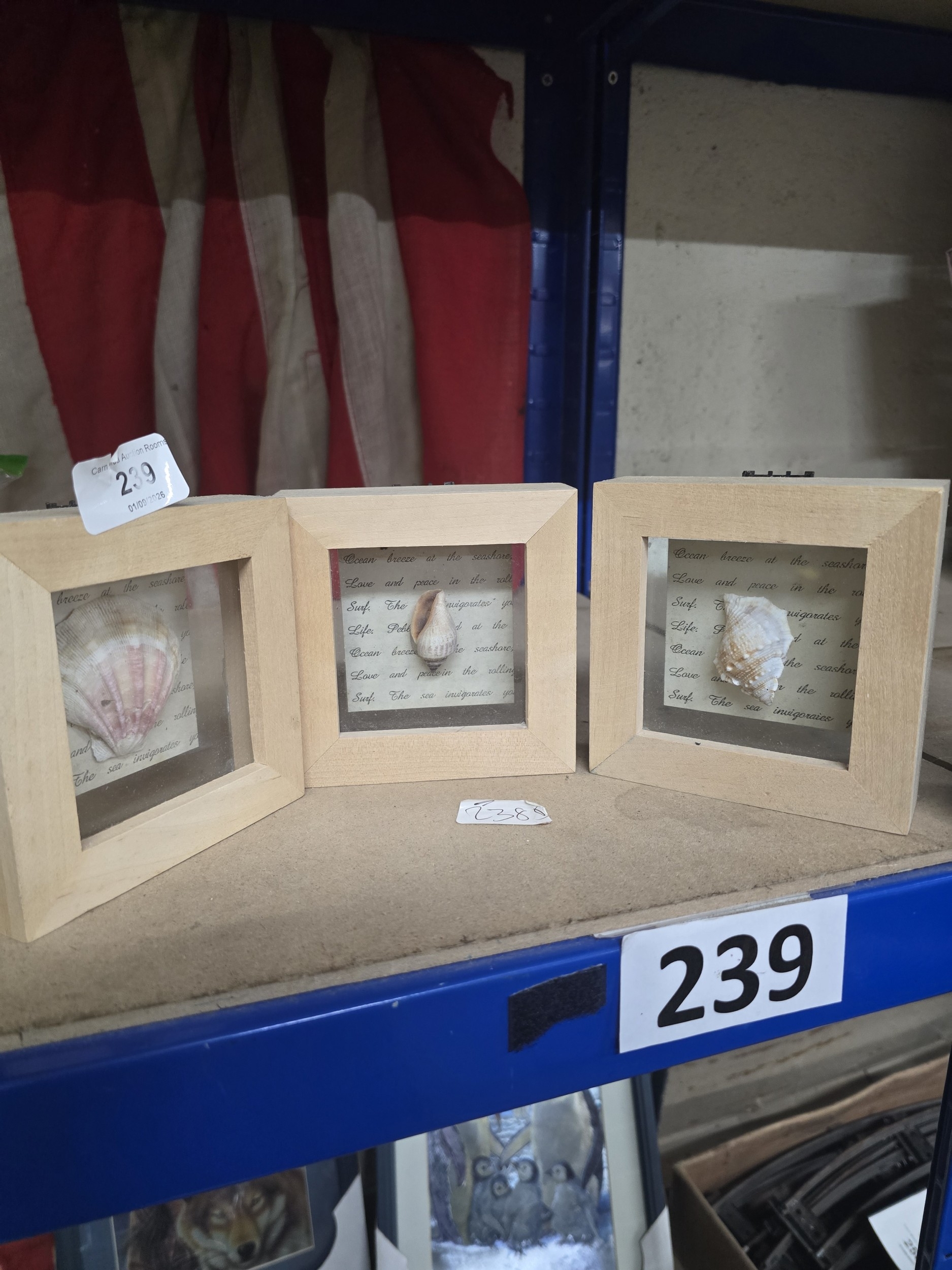 Lot 239