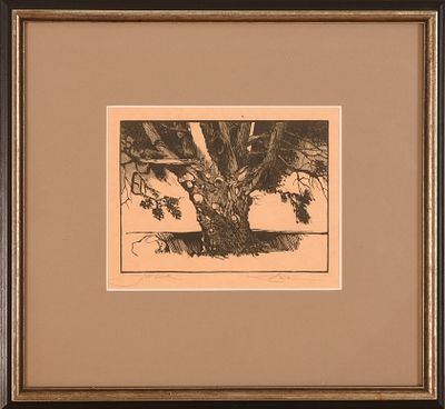 Mid Century Woodblock Print of a Tree. Pencil signed. 6 x 8 inches, sight. Framed, 13 x 15 inches.