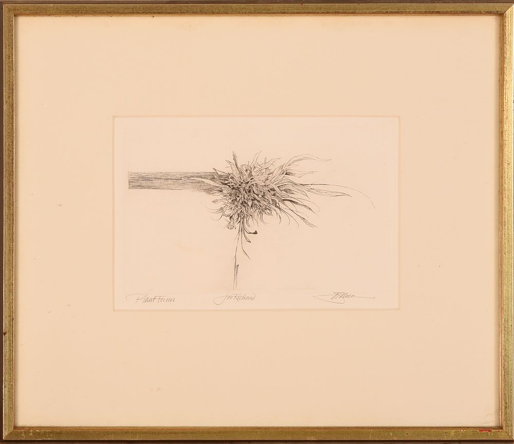 Plant Forms' Etching. Pencil signed. 5.5 x 8.5 inches, sight. Frame, 13 x 15 inches.