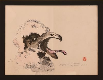 Kay Moser. Fledgling Marsh Harrier. Framed pen and ink on paper. 8.5 x 11.5 inches, sight.