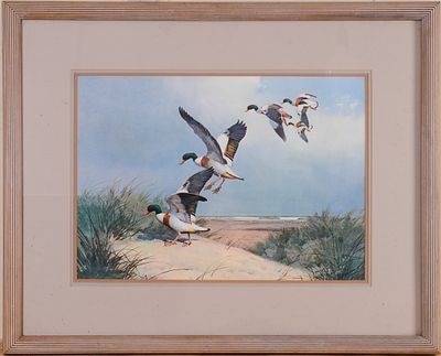 Print of Five Ducks landing on a beach by J.C. Harrison. 16 x 23 inches, sight. Framed, 28 1/2 