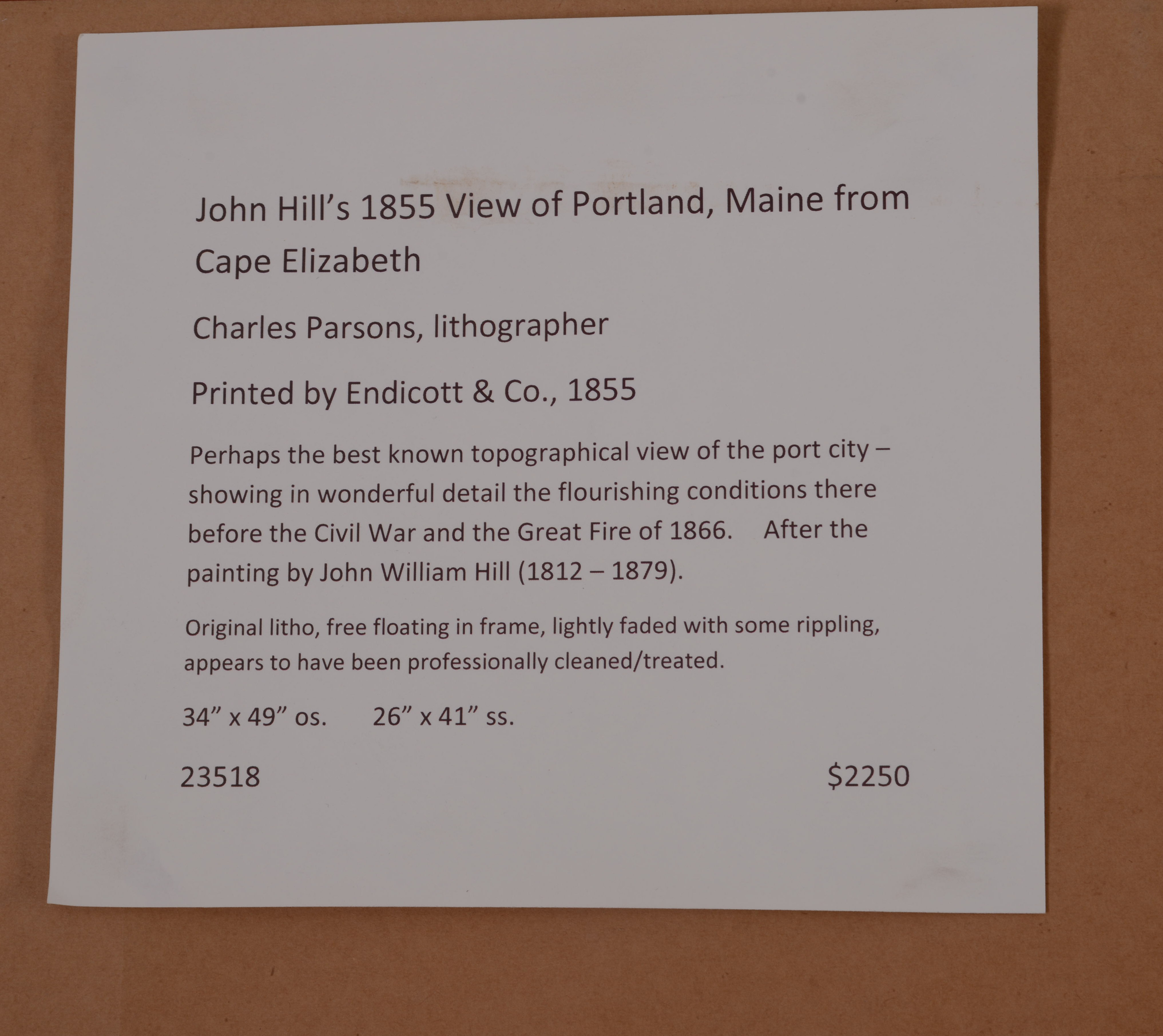 JOHN HILL'S 1855 VIEW OF PORTLAND, MAINE FROM CAPE ELIZABETH.