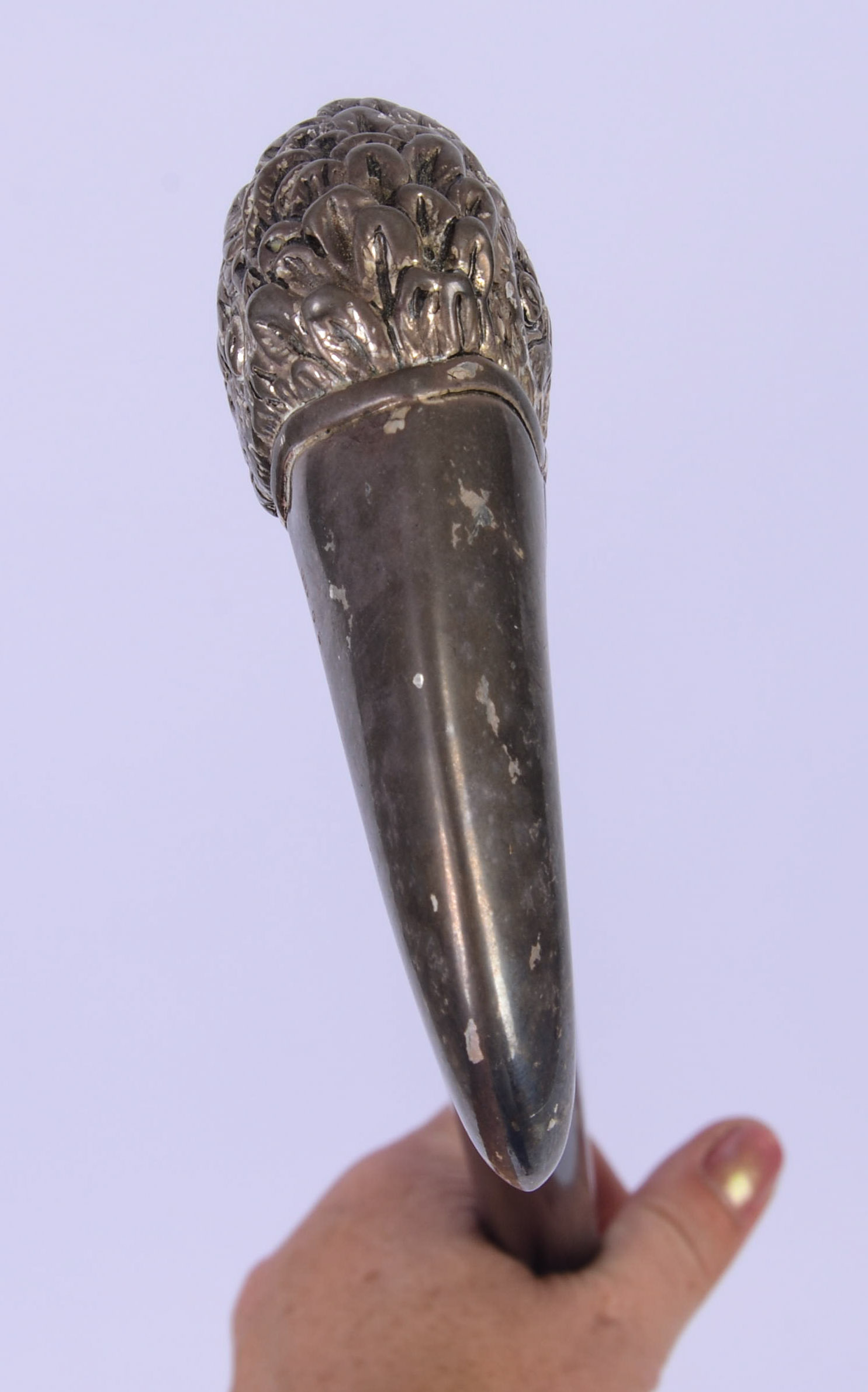 CANE WITH BIRD HANDLE.
