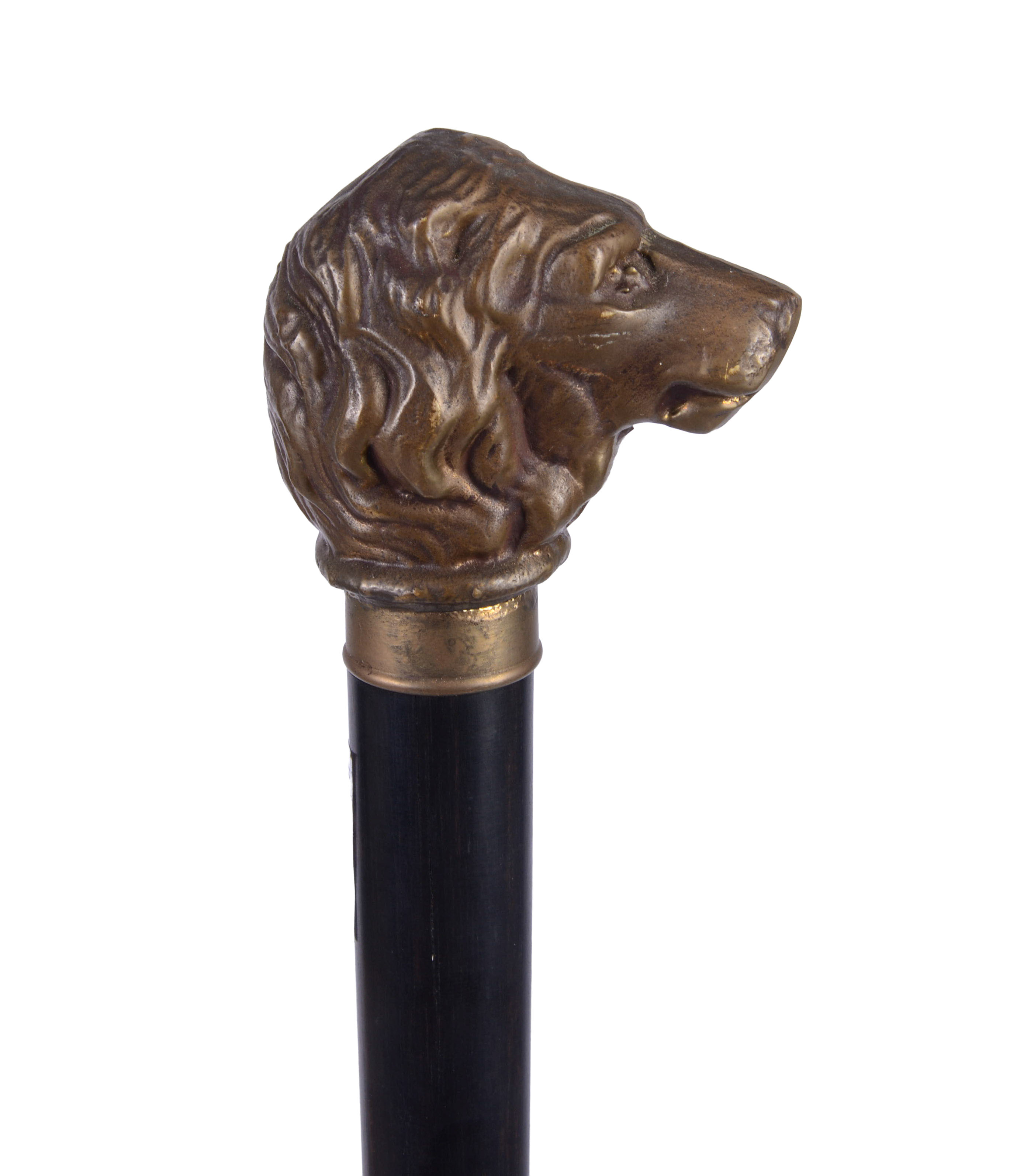 CANE WITH BRASS LION HANDLE.