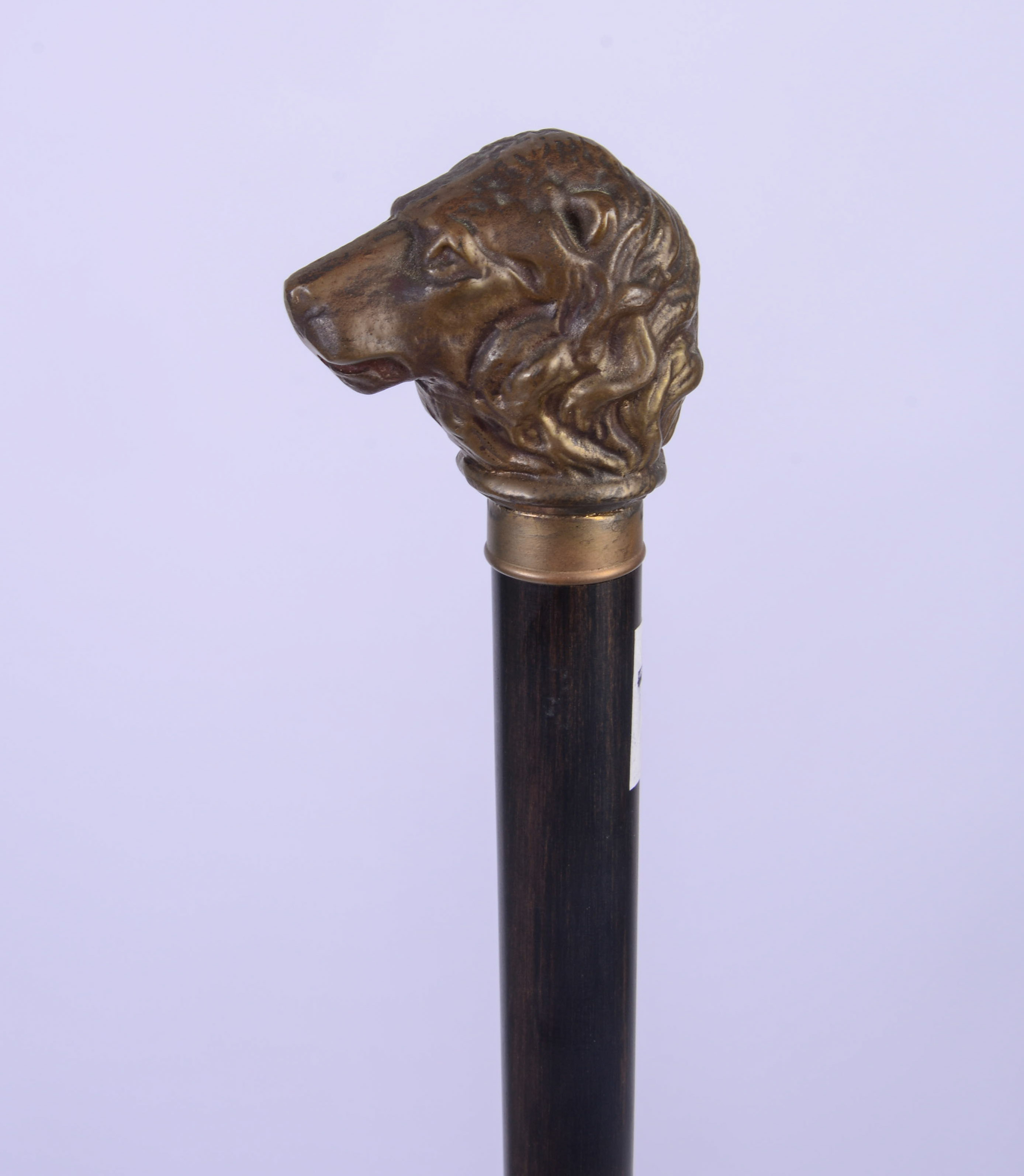 CANE WITH BRASS LION HANDLE.