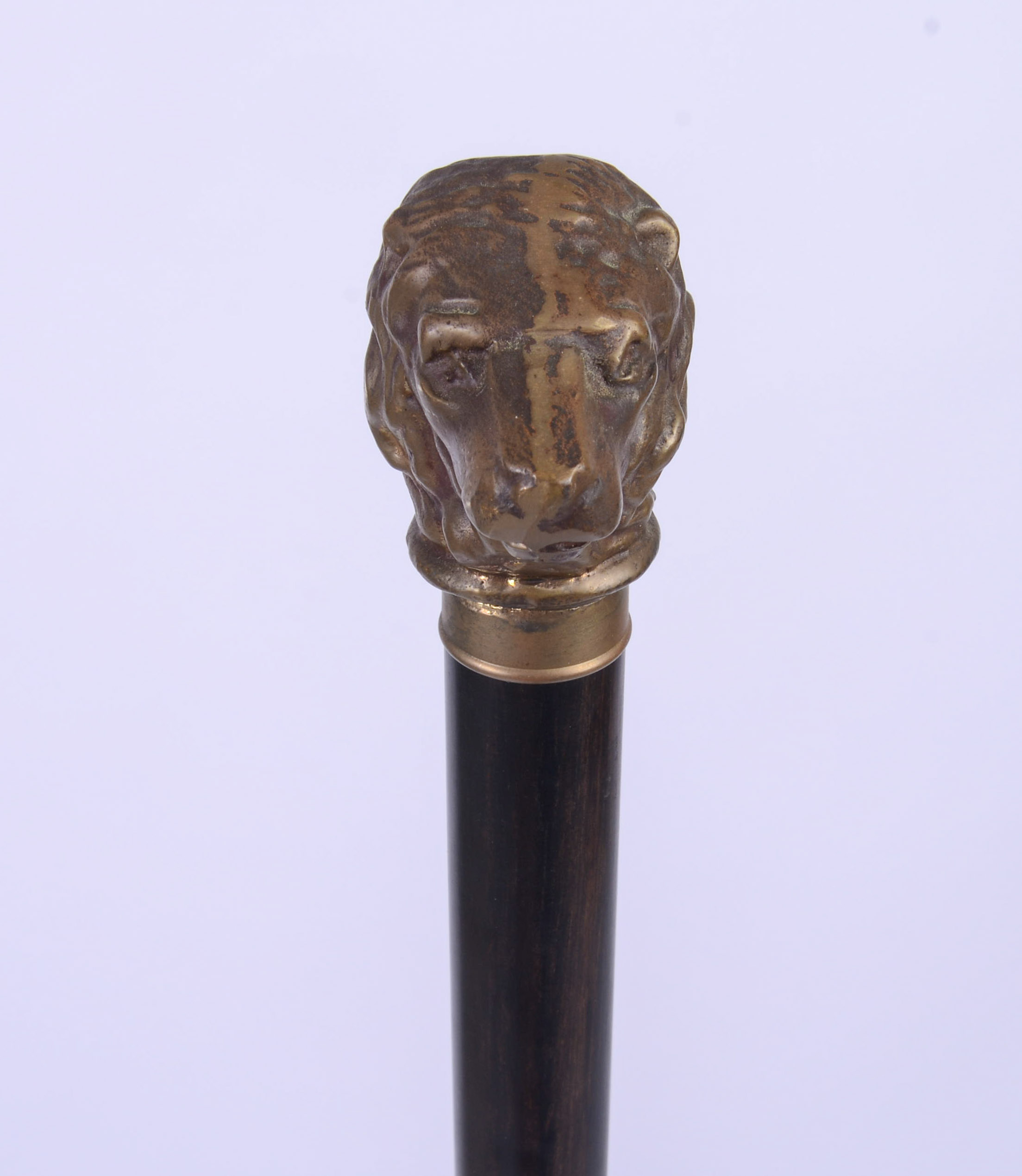 CANE WITH BRASS LION HANDLE.