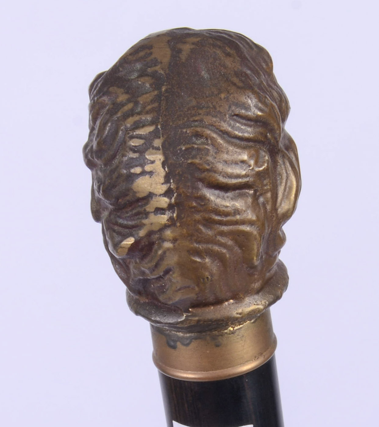 CANE WITH BRASS LION HANDLE.