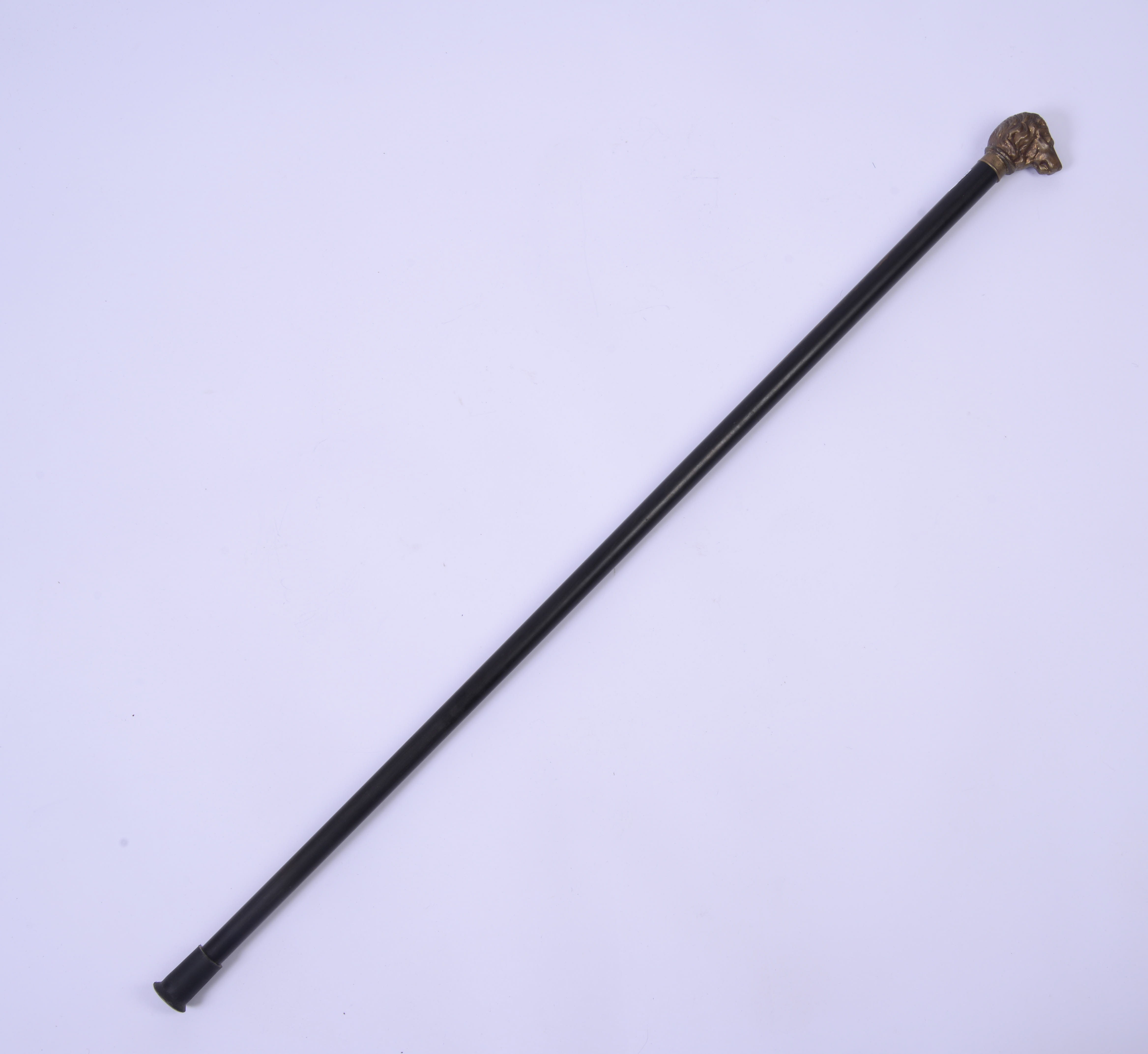 CANE WITH BRASS LION HANDLE.