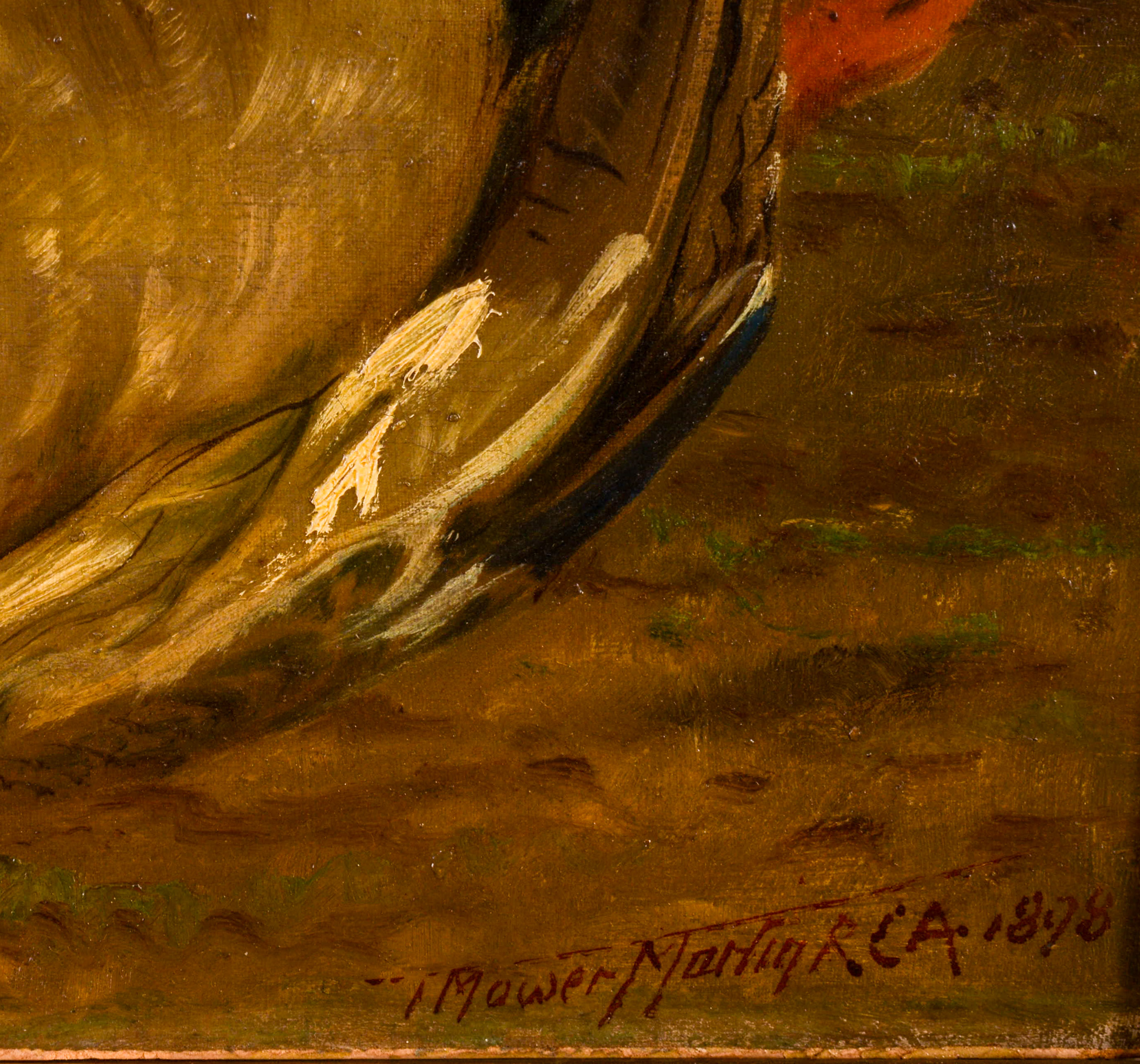 THOMAS MOWER MARTIN (1838-1934). TWO DUCKS.
