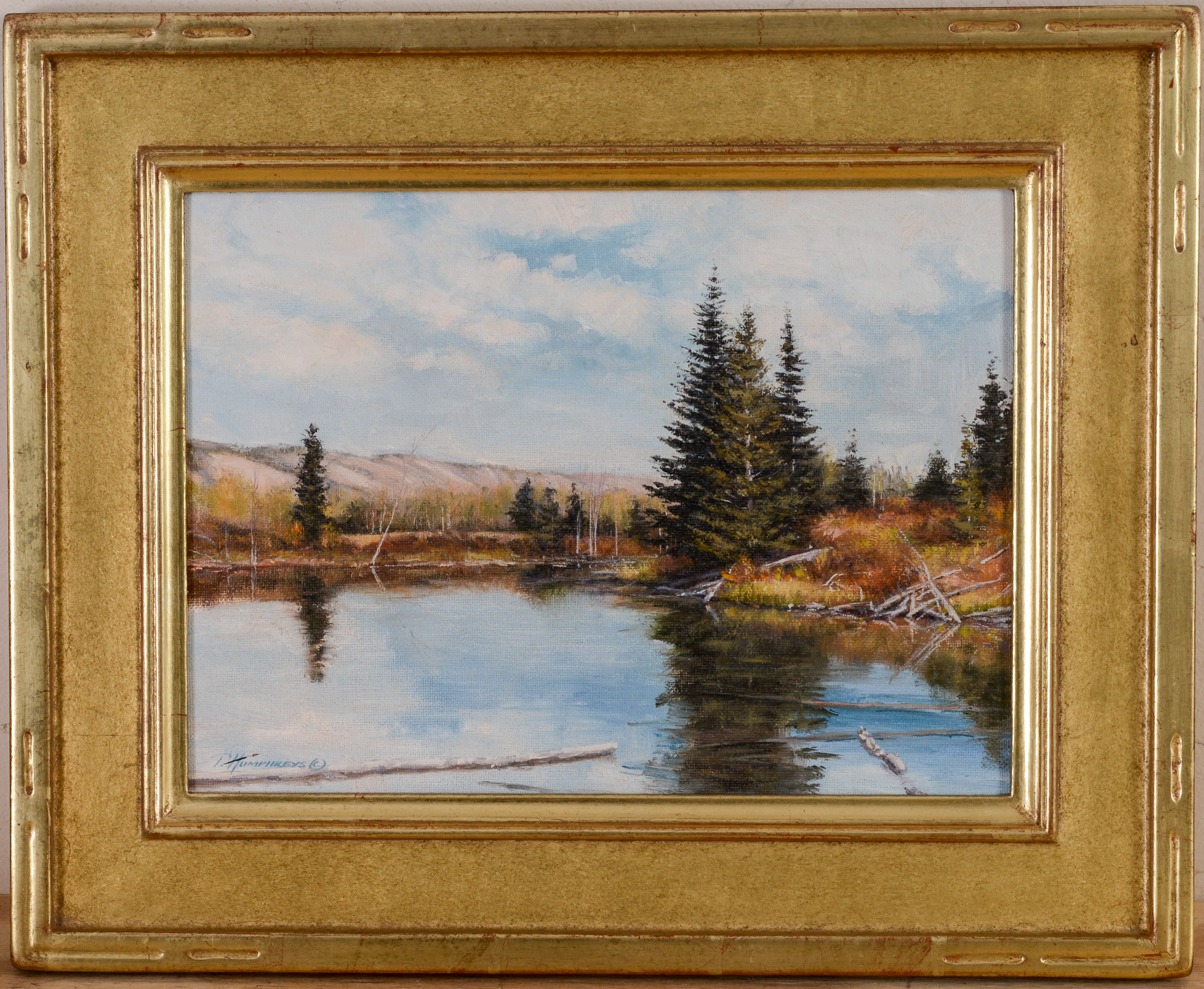 TRAVIS HUMPHREYS (B. 1965). WHITE CLIFFS POND.