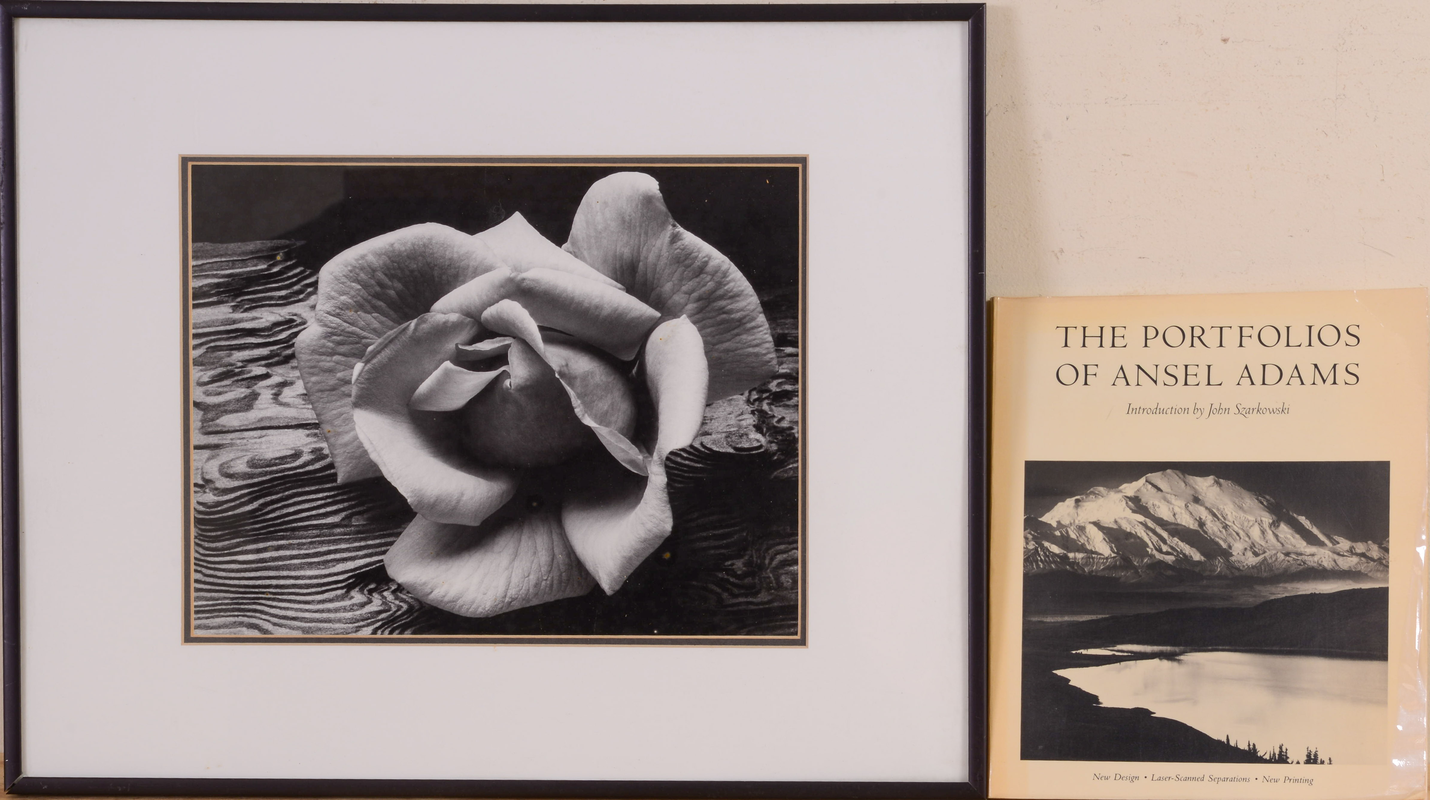 ANSEL ADAMS. ROSE AND DRIFTWOOD.