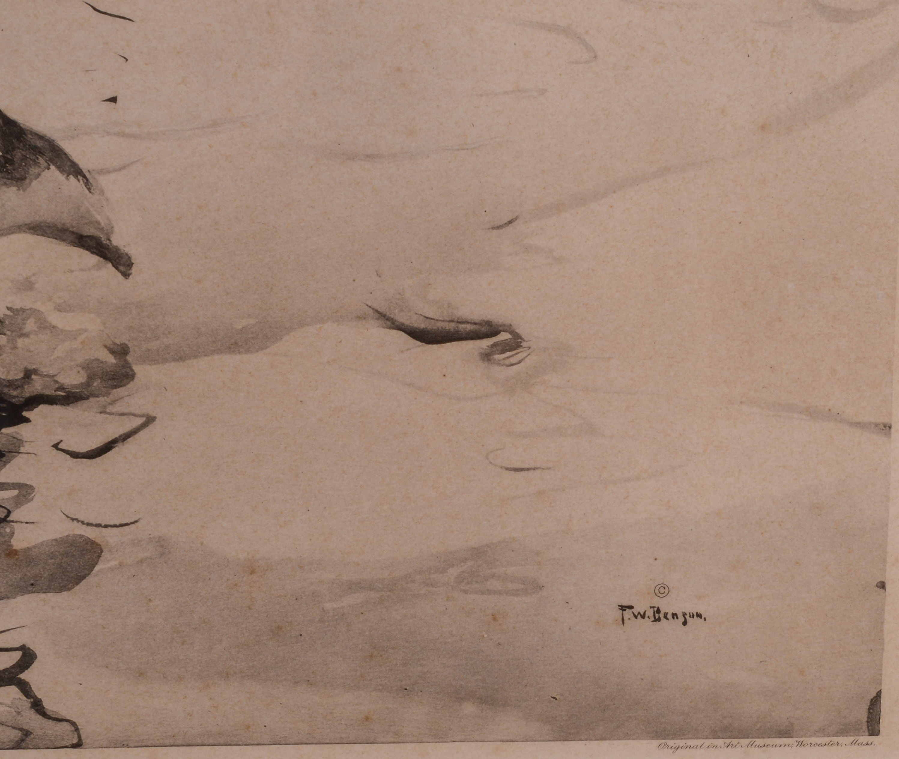 EIDER DUCKS IN WINTER, AFTER FRANK BENSON.