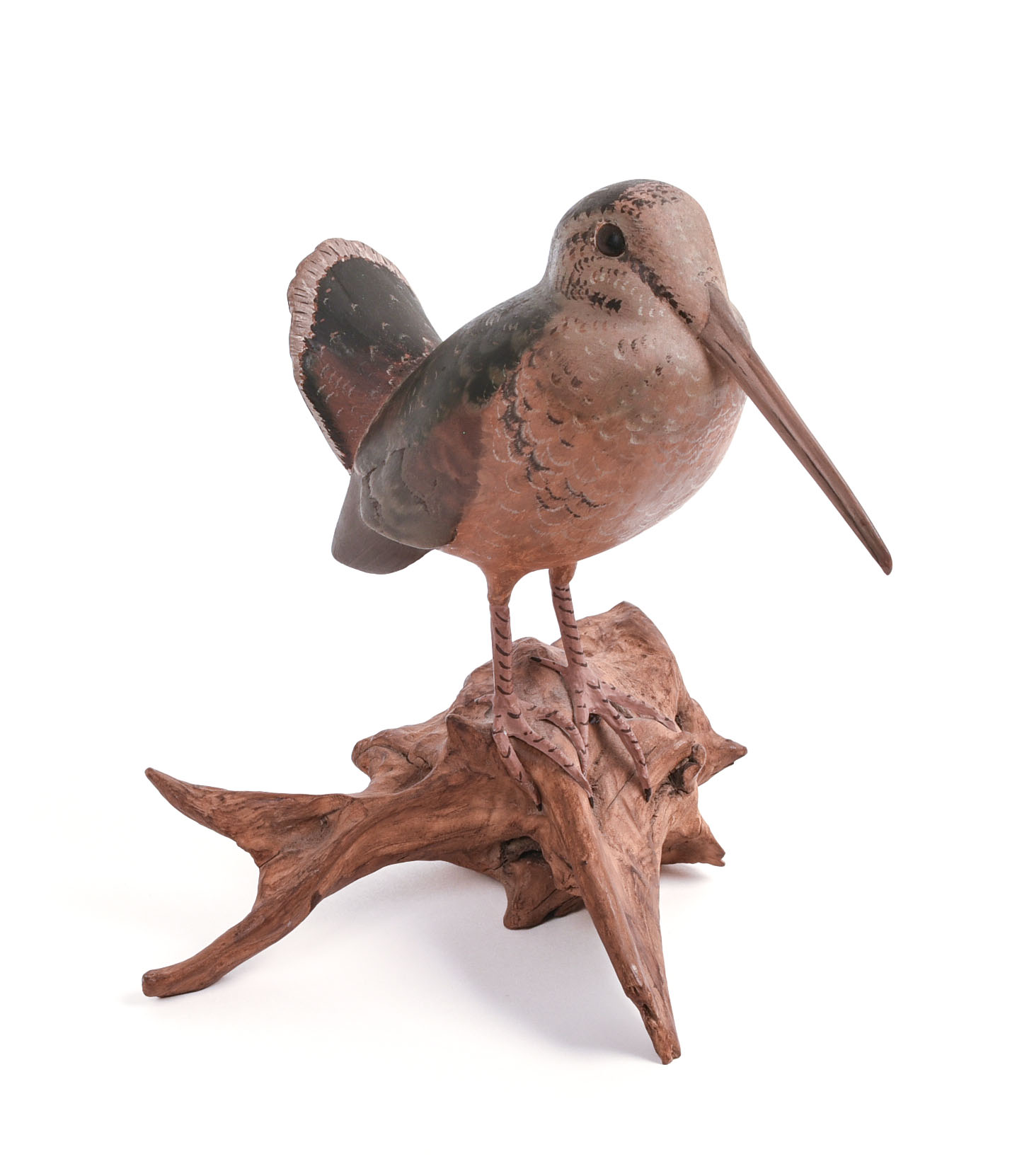 J. TAYLOR. AMERICAN WOODCOCK.