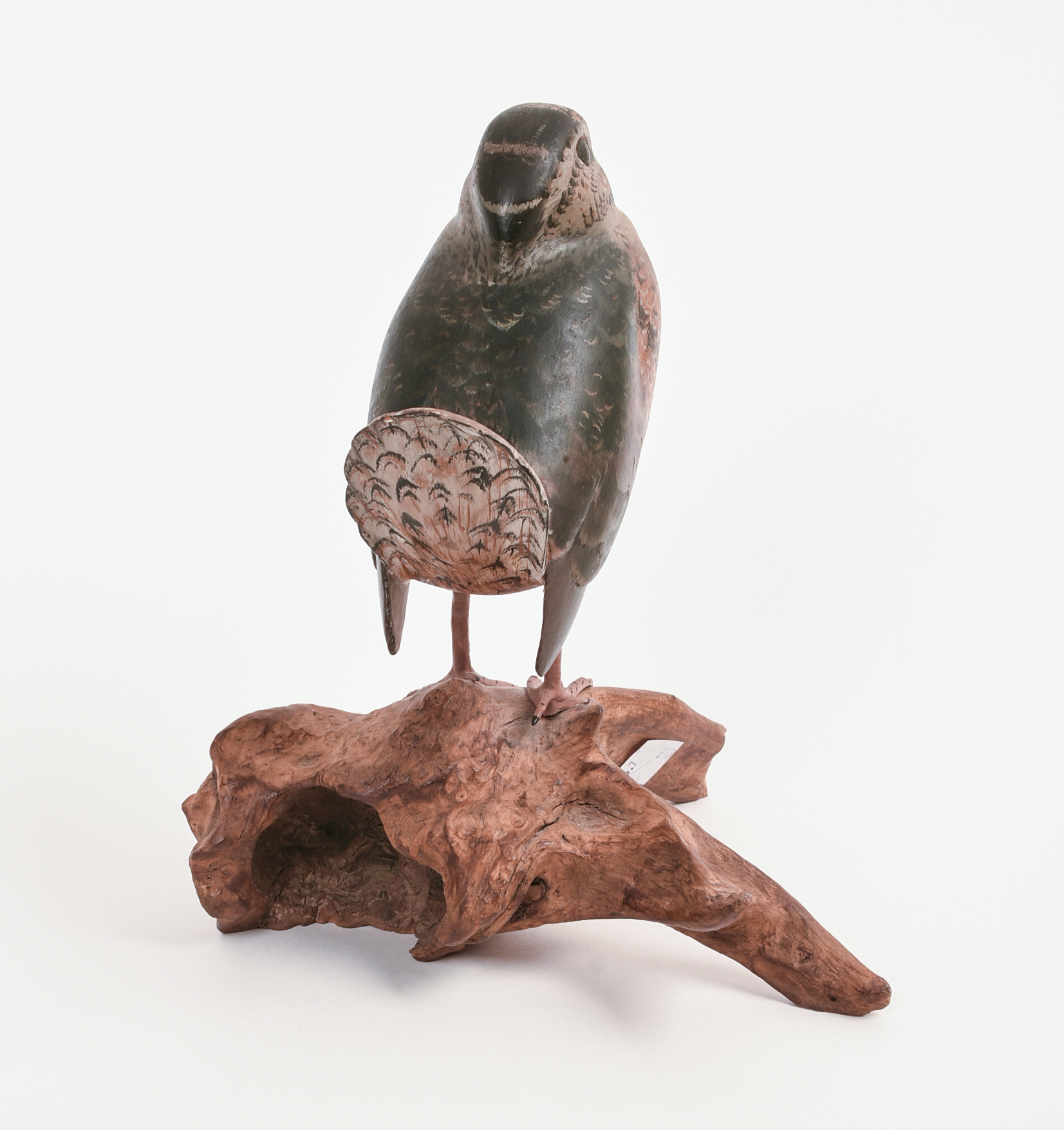 J. TAYLOR. AMERICAN WOODCOCK.