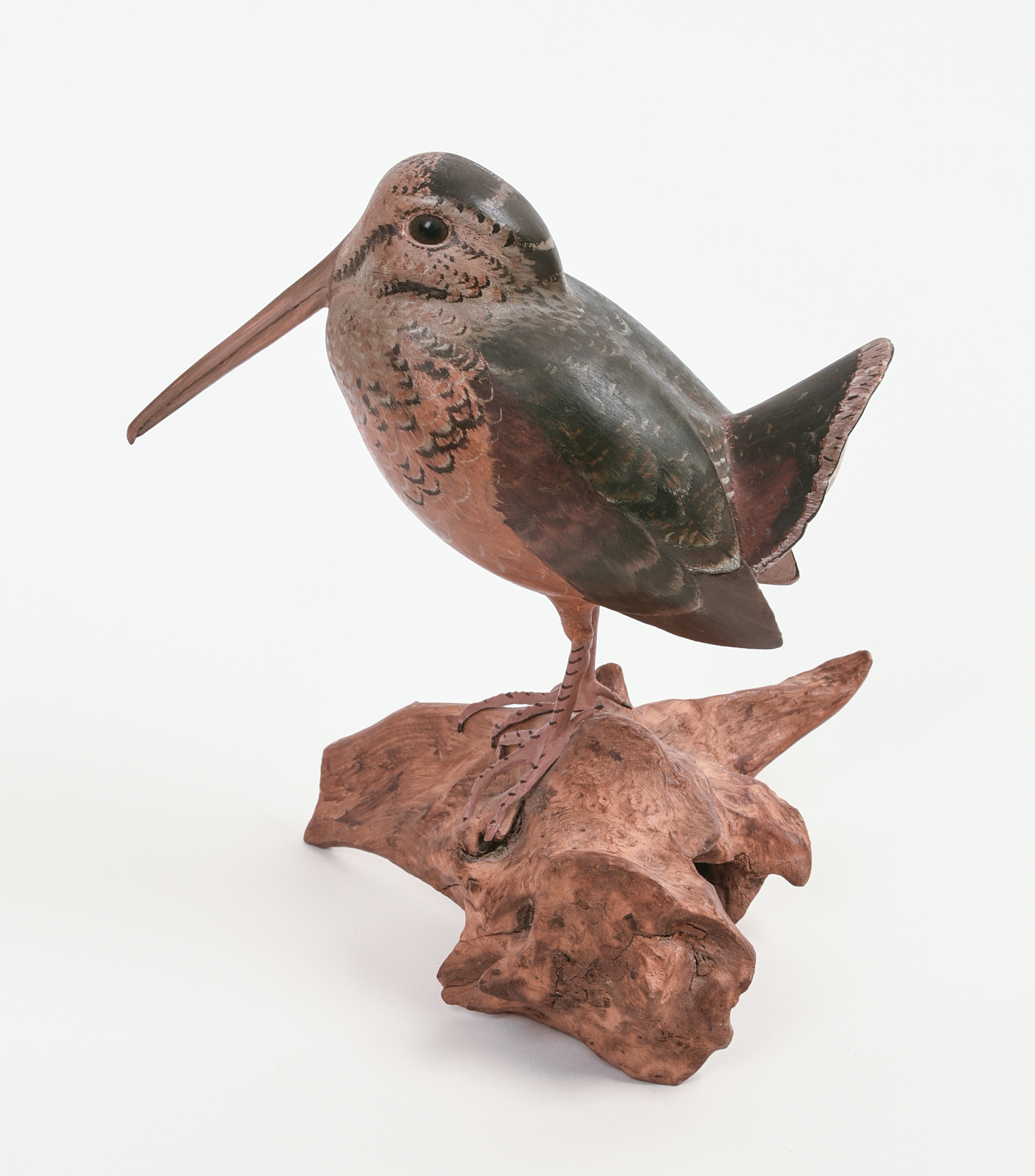 J. TAYLOR. AMERICAN WOODCOCK.