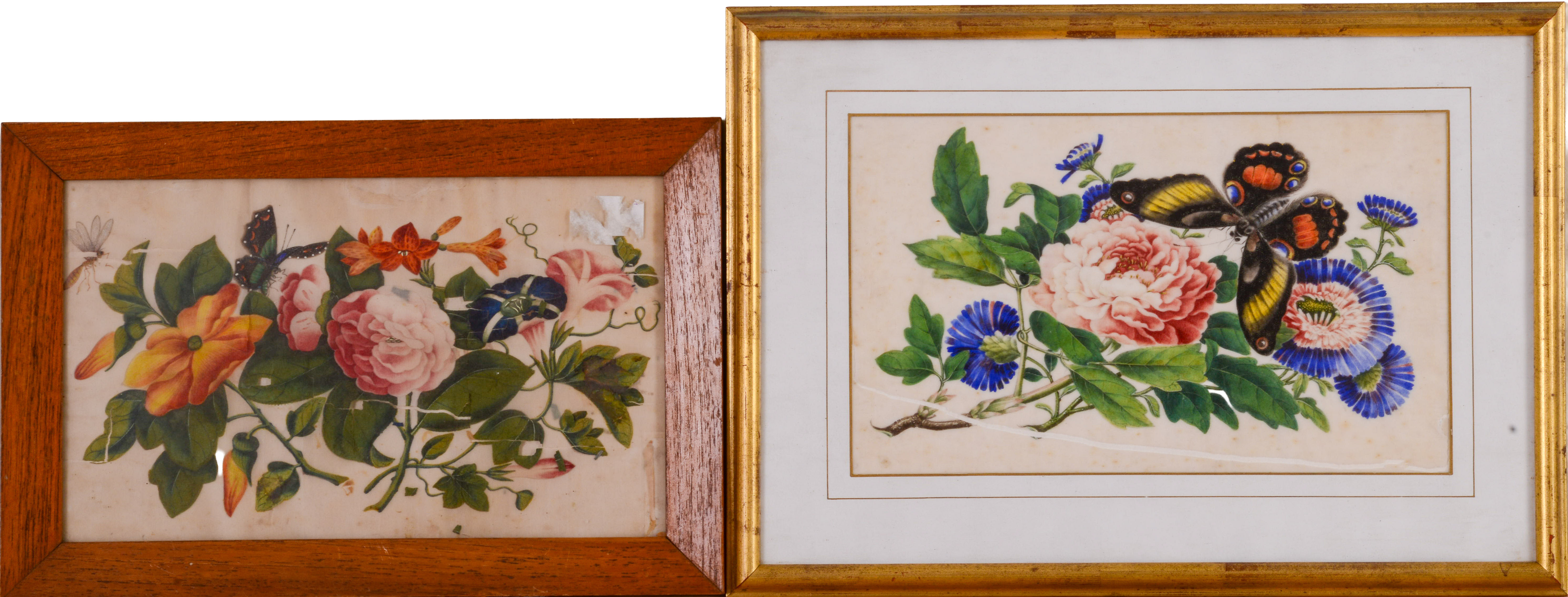 Two Floral Illustrations on Silk.