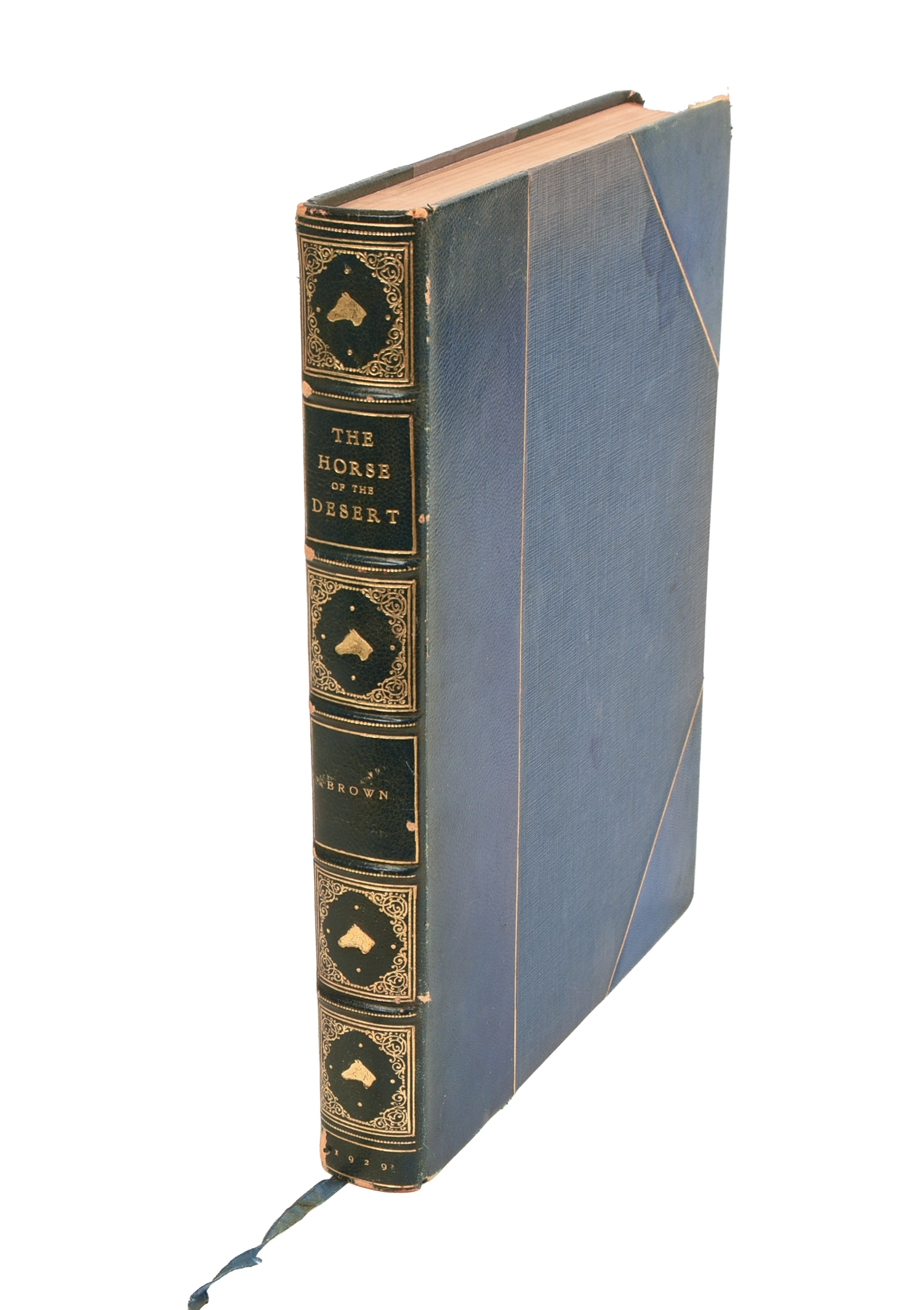 The Horse of the Desert by William Robinson Brown