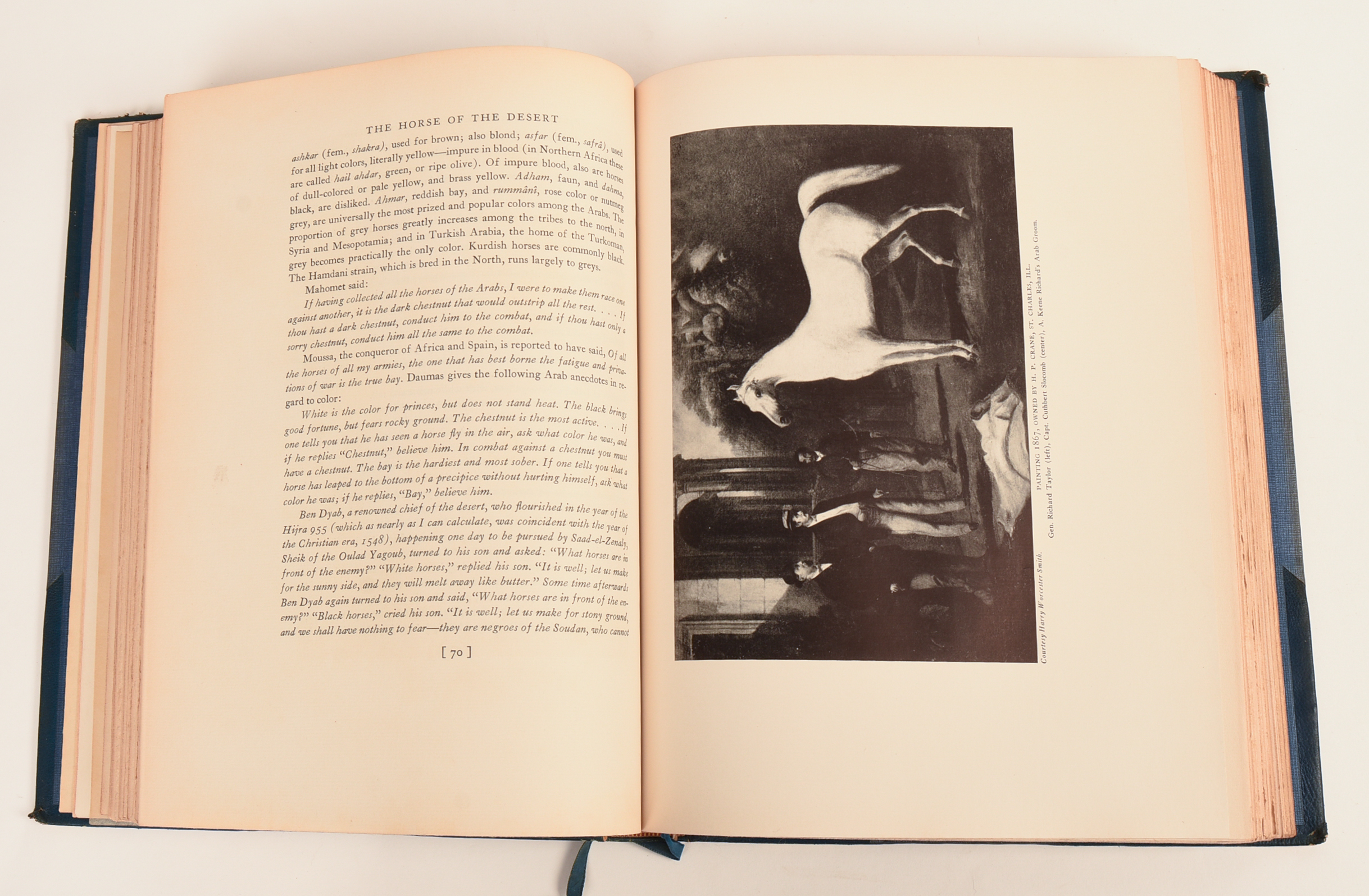 The Horse of the Desert by William Robinson Brown