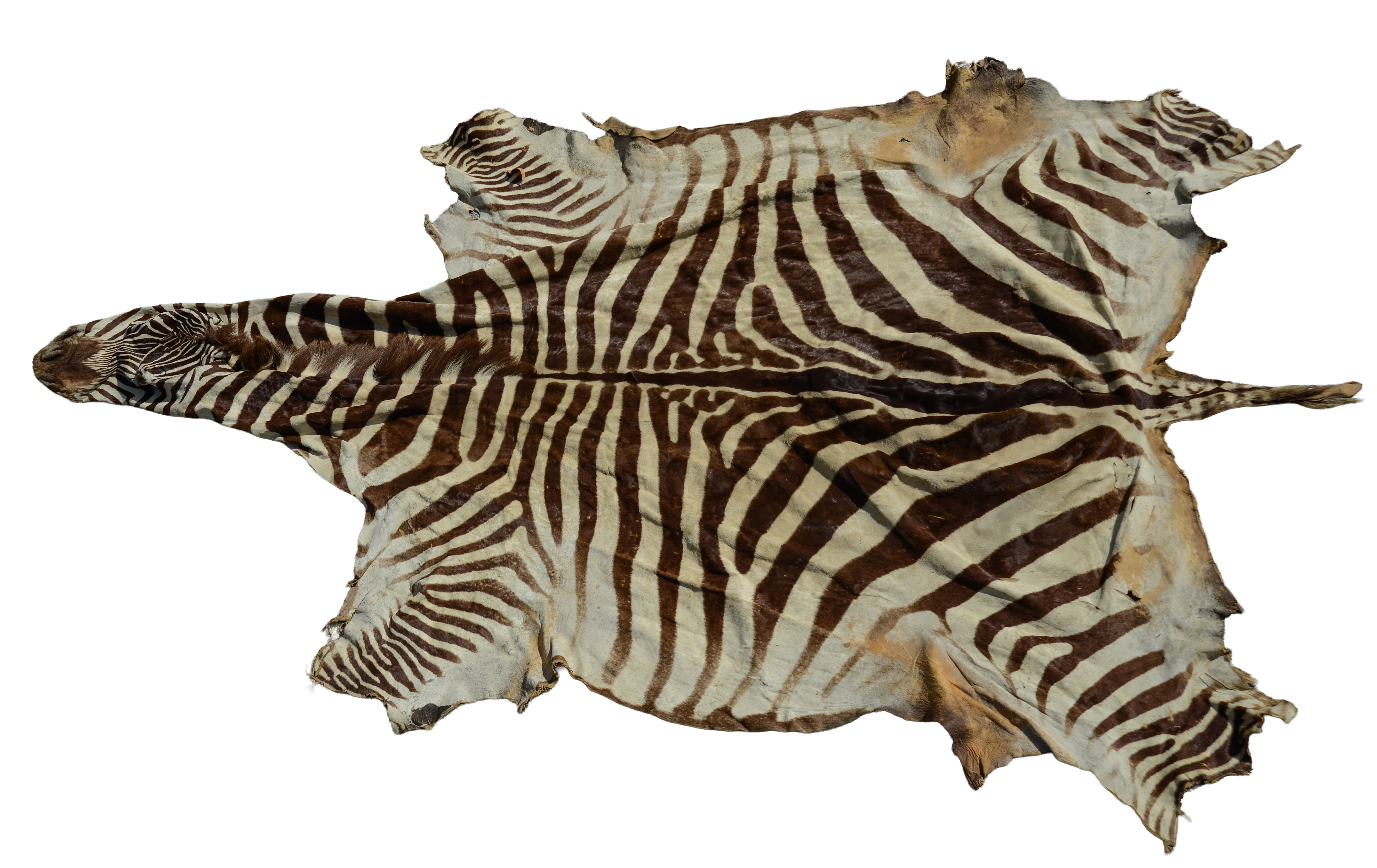 Zebra Hide Rug.