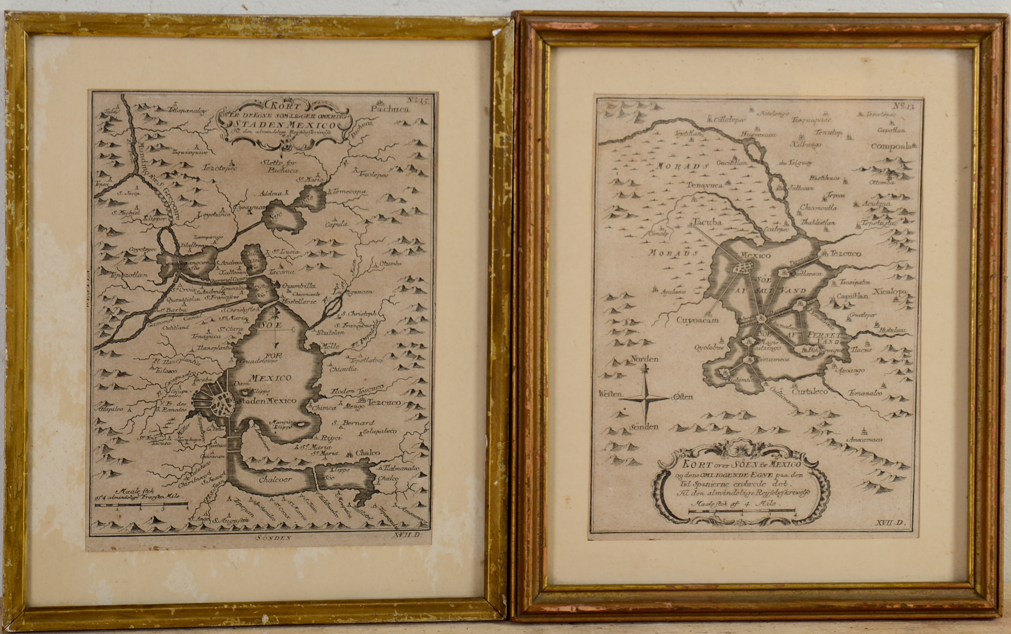 Two 18th c. Maps of the Mexico City Region.