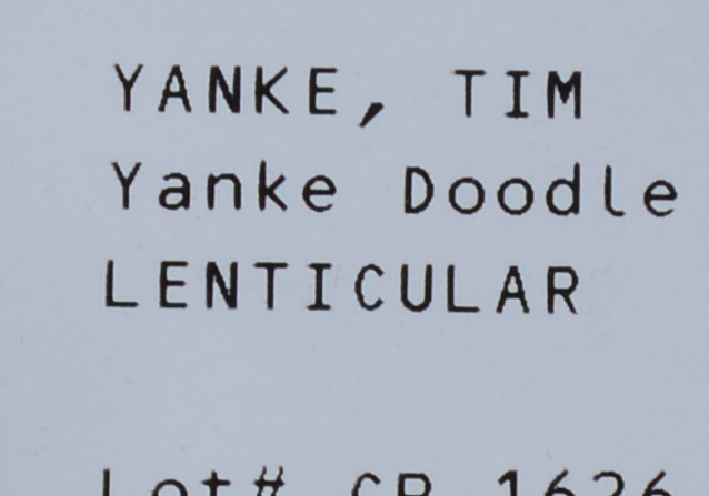TIM YANKE. YANKE DOODLE, 2015.