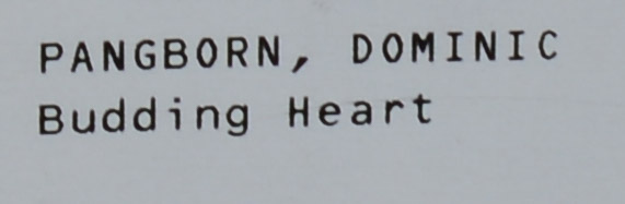 DOMINIC PANGBORN. BUDDING HEART, 2017.