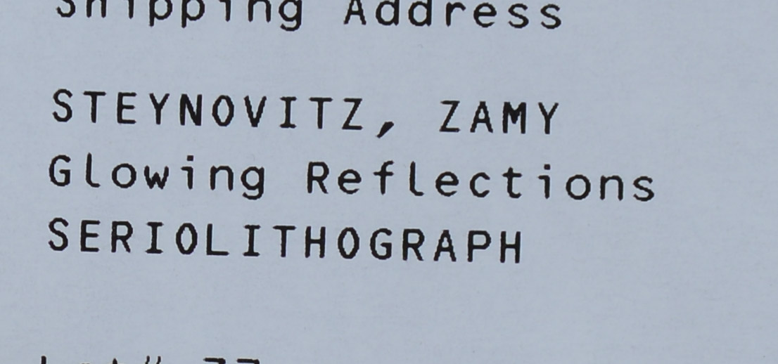ZAMY STEYNOVITZ. GLOWING REFLECTIONS, 2005.