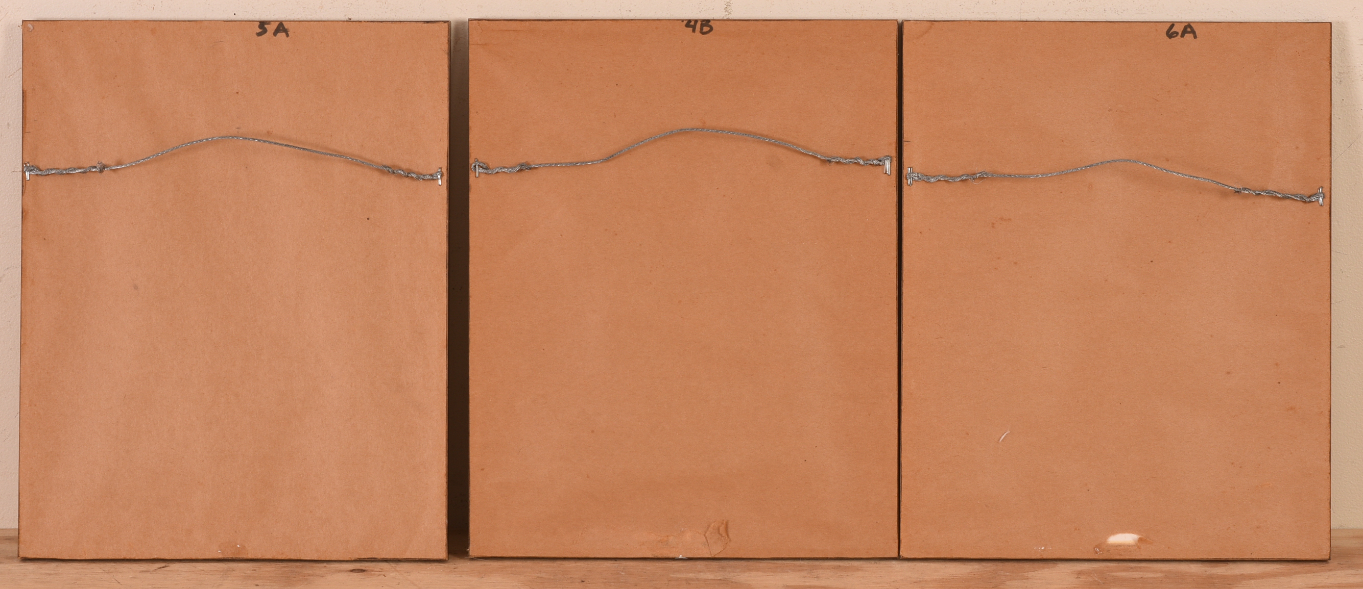 THOMAS C. DAVIES. NINETEEN PHOTOGRAPHS.