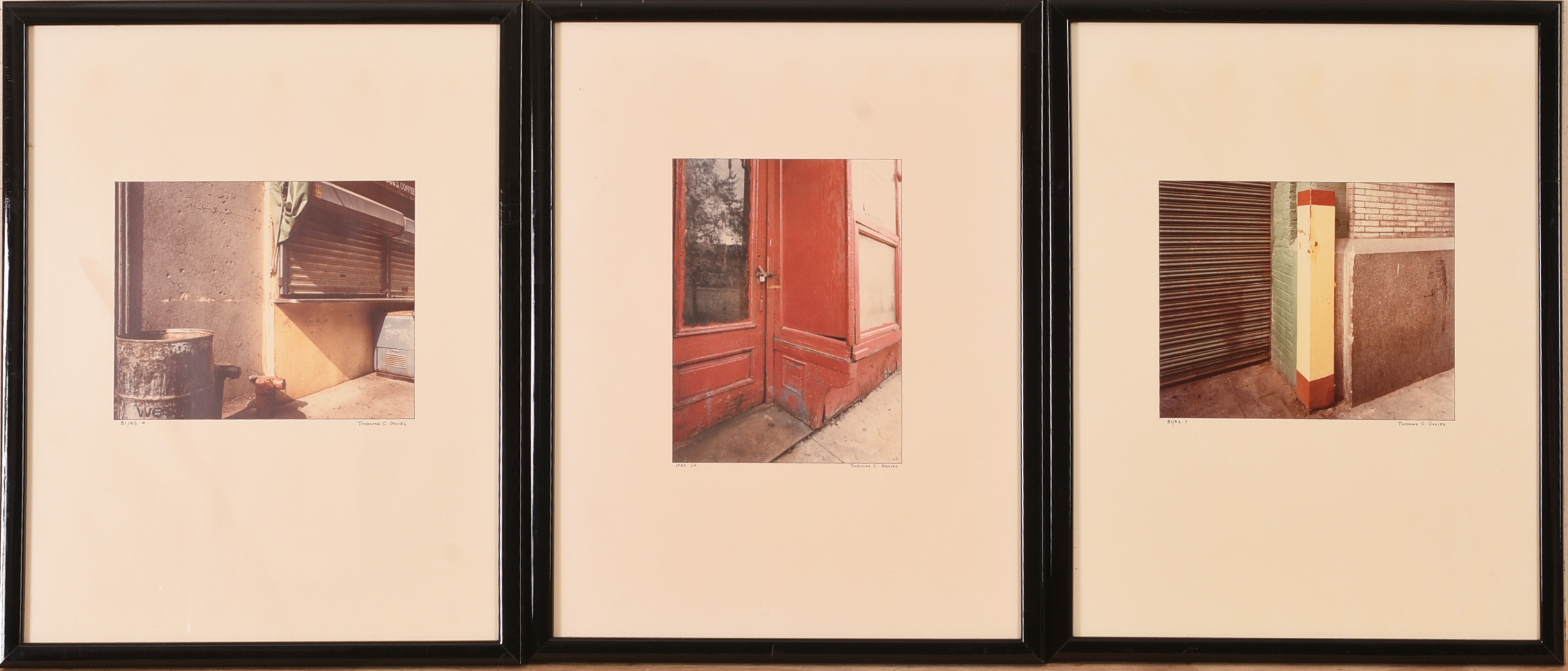 THOMAS C. DAVIES. NINETEEN PHOTOGRAPHS.