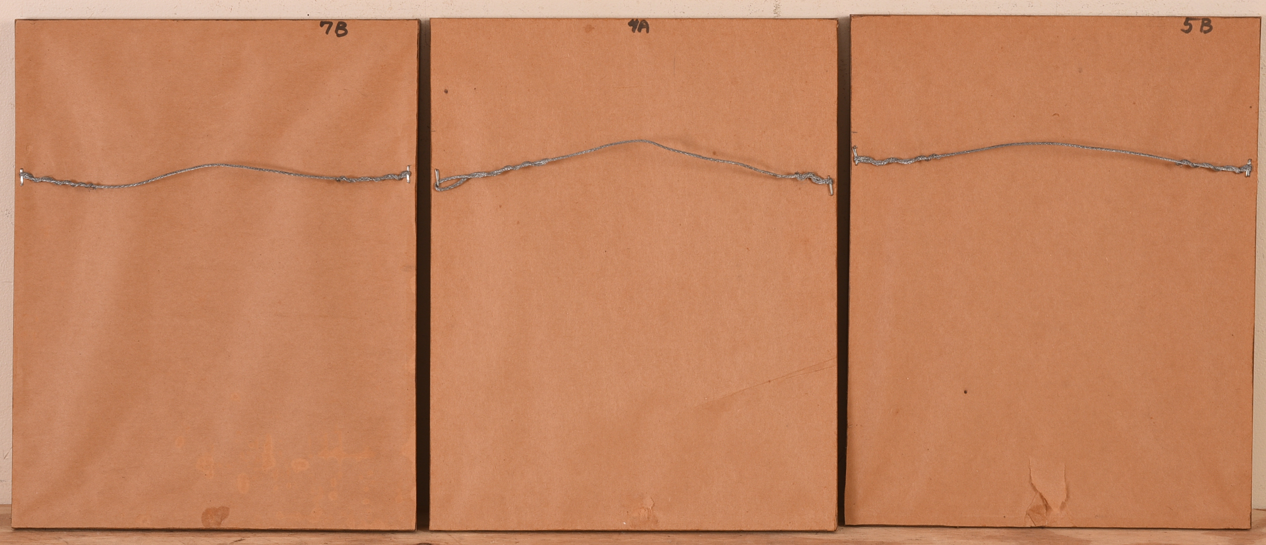 THOMAS C. DAVIES. NINETEEN PHOTOGRAPHS.